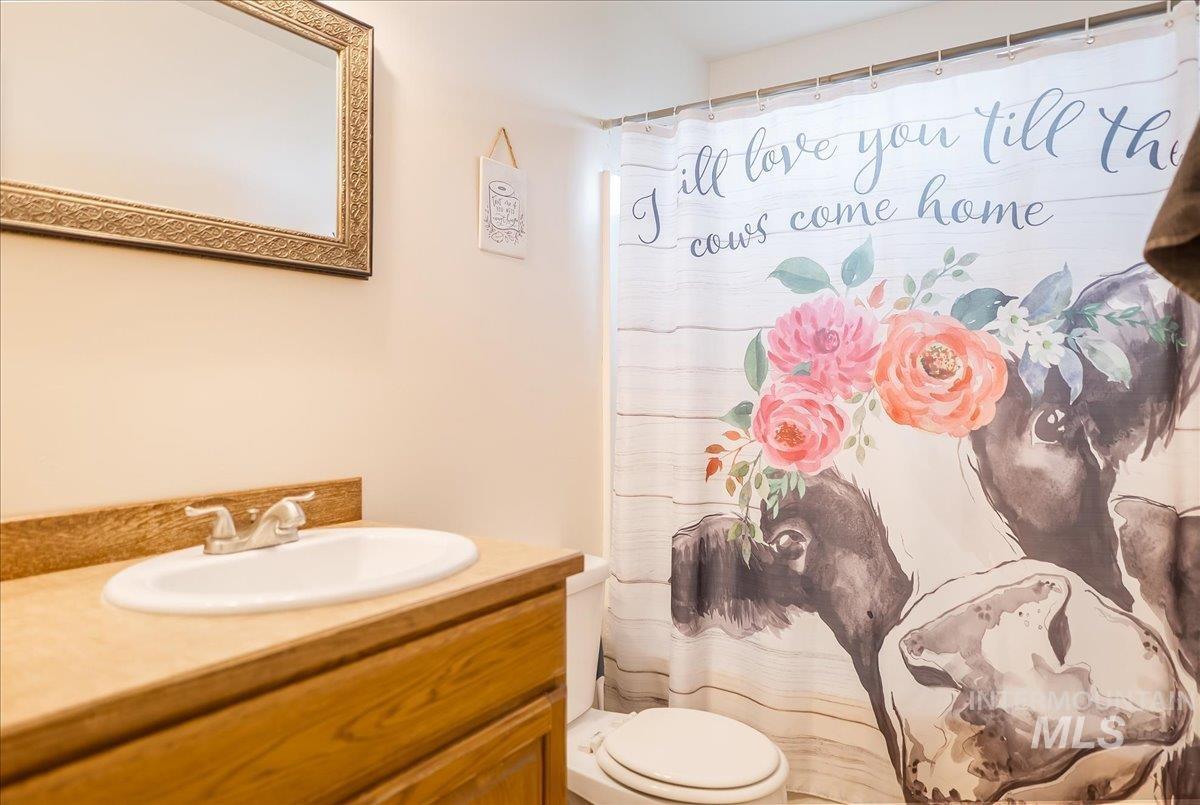 Full bathroom with vanity and a shower with shower curtain