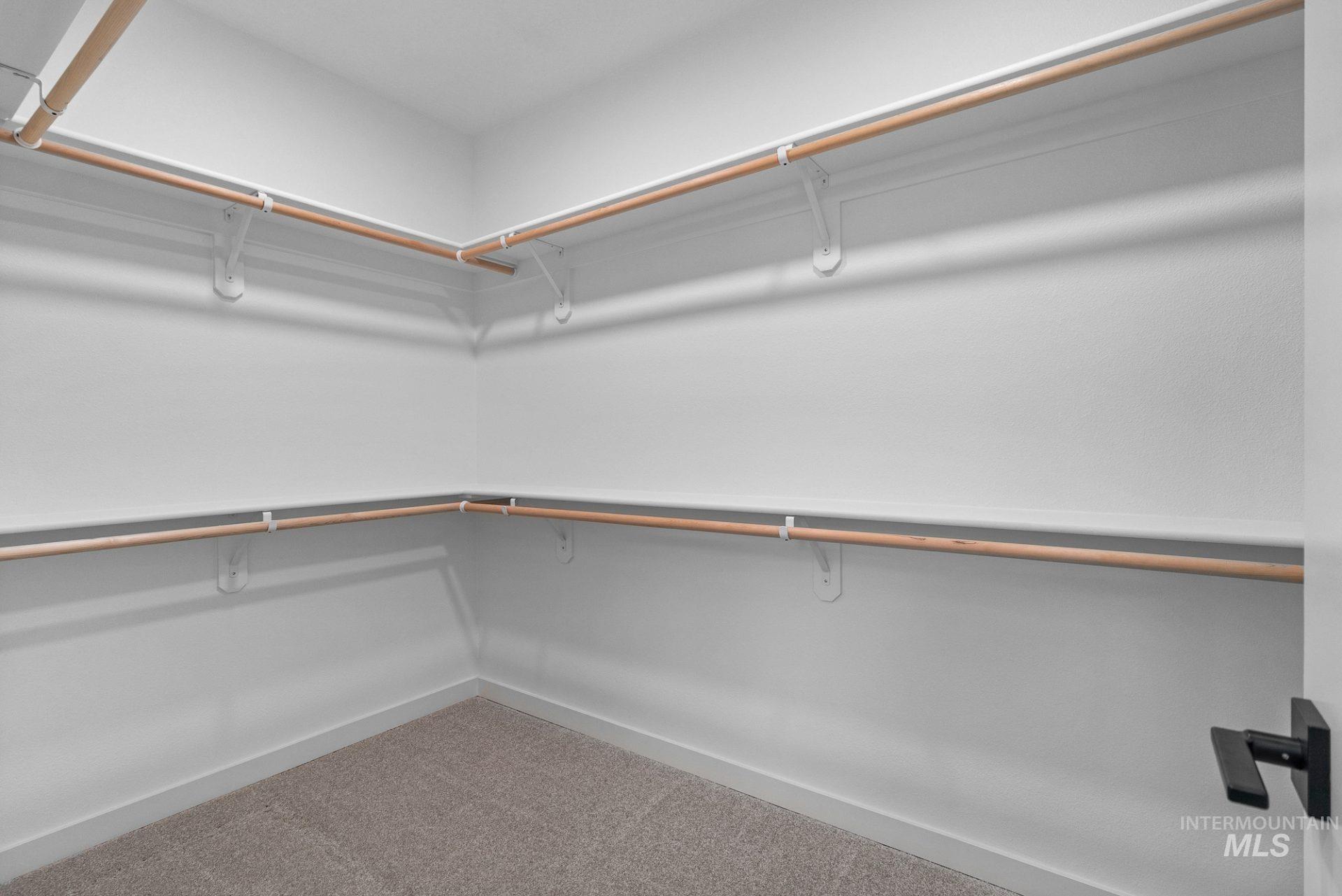 Walk in closet featuring carpet