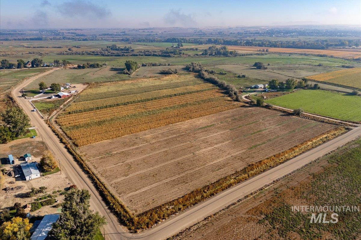 Overview of rural landscape featuring rows of crops
