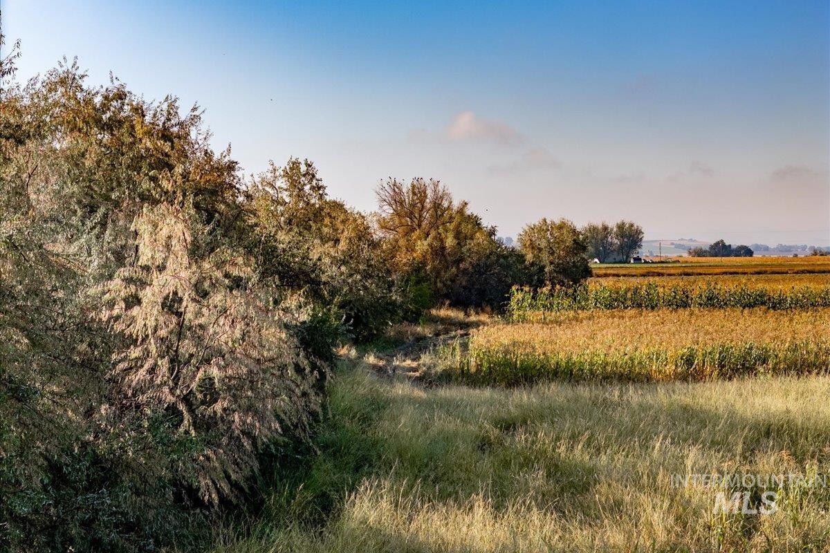 View of local wilderness with rural landscape