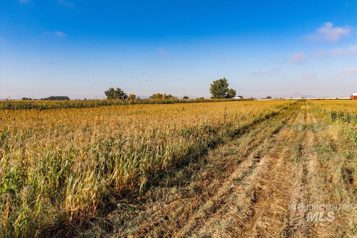 View of local wilderness with rural landscape and farmland