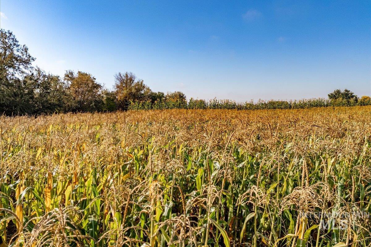 View of local wilderness with rural landscape and farmland