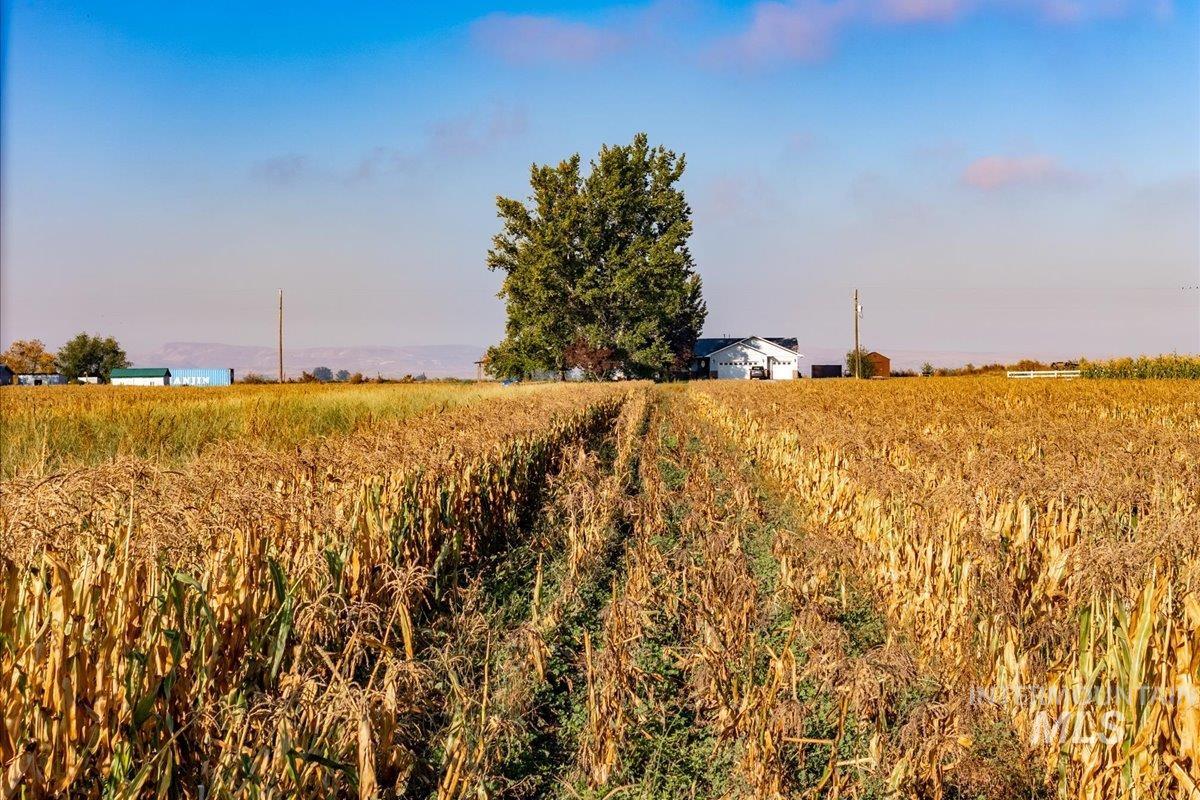 View of yard featuring a rural view