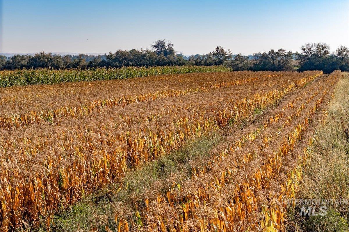 View of undeveloped land with farmland and rural landscape