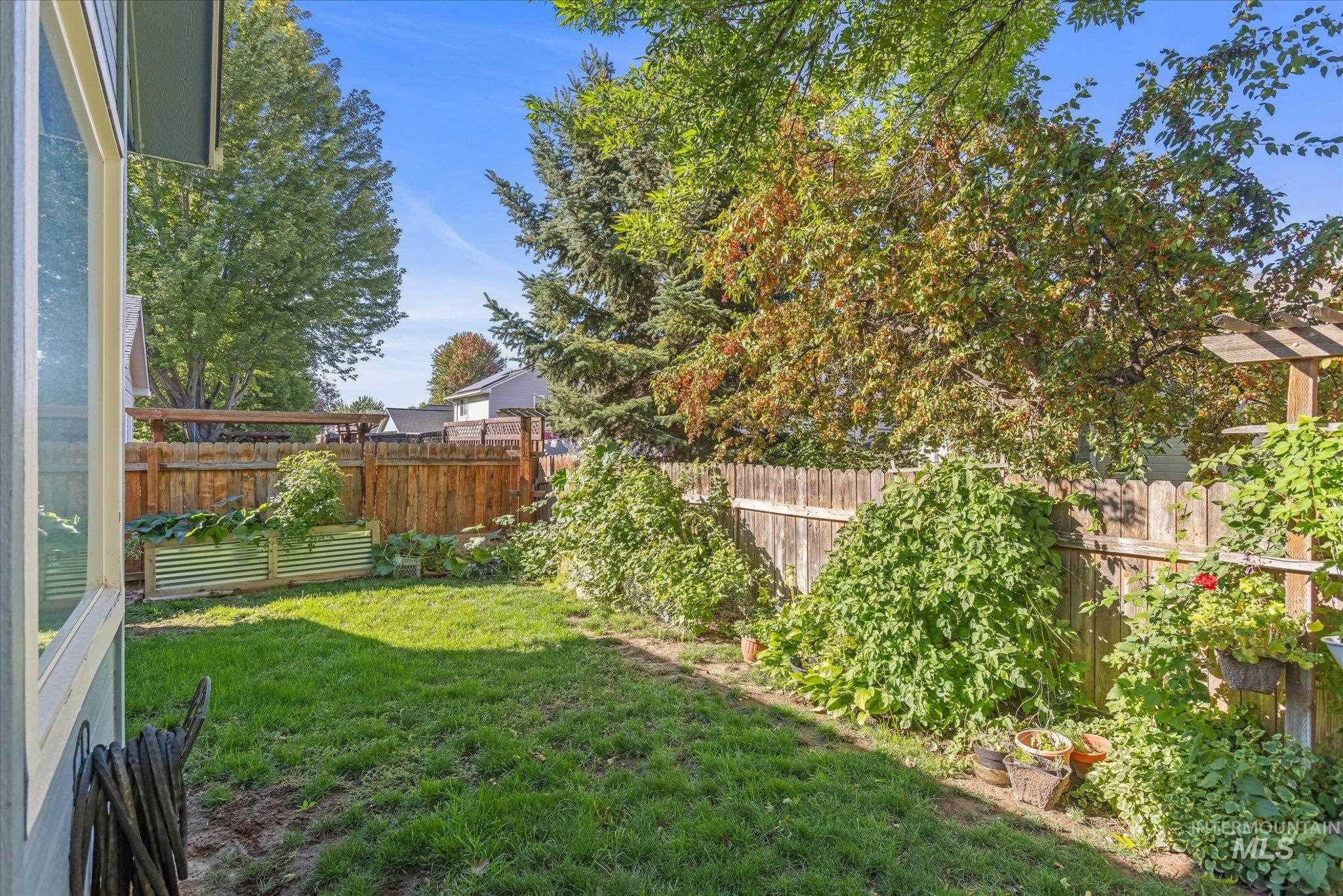 View of fenced backyard