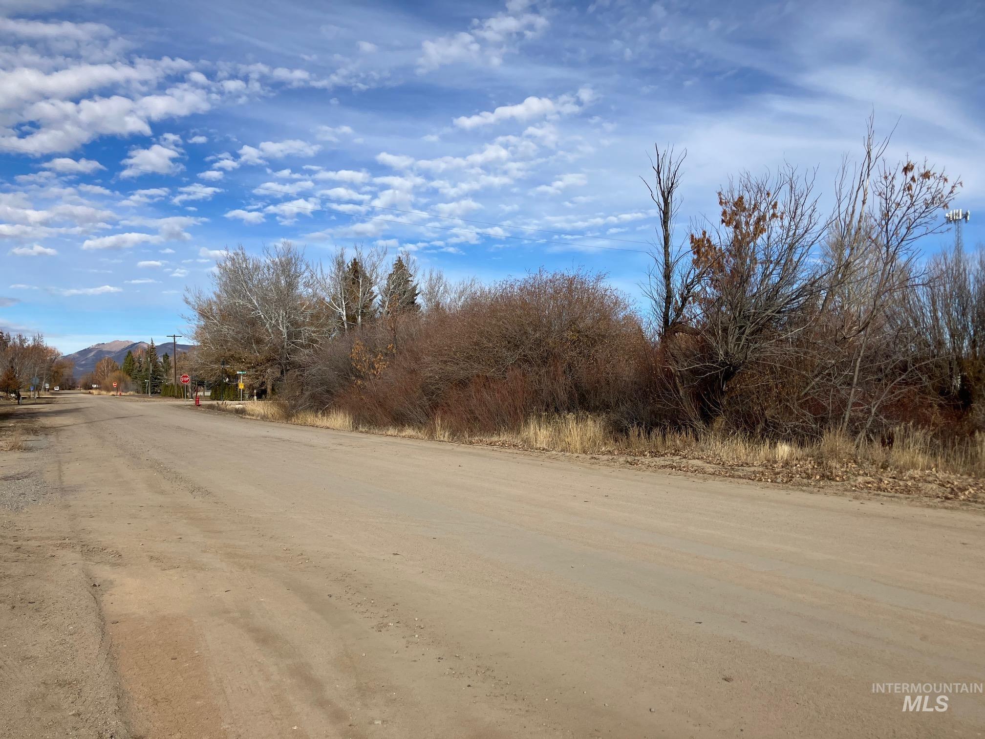 View of dirt / gravel road