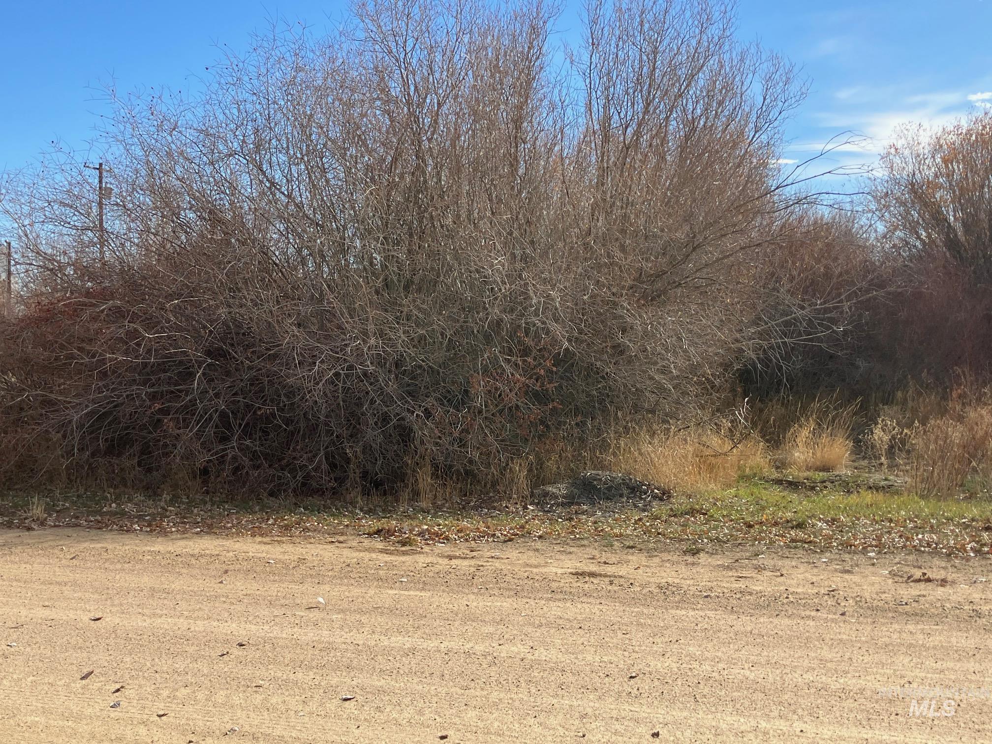 View of undeveloped land