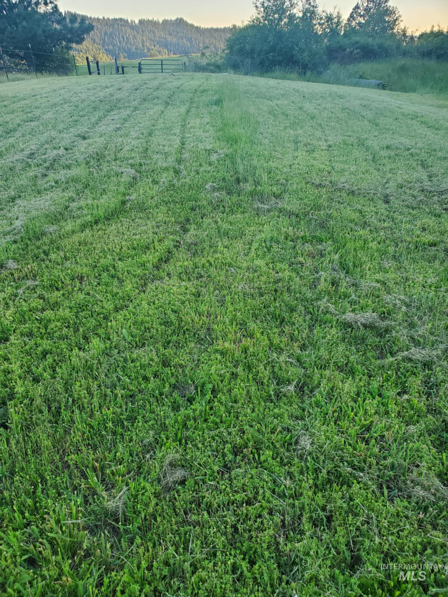 View of yard featuring a view of rural / pastoral area