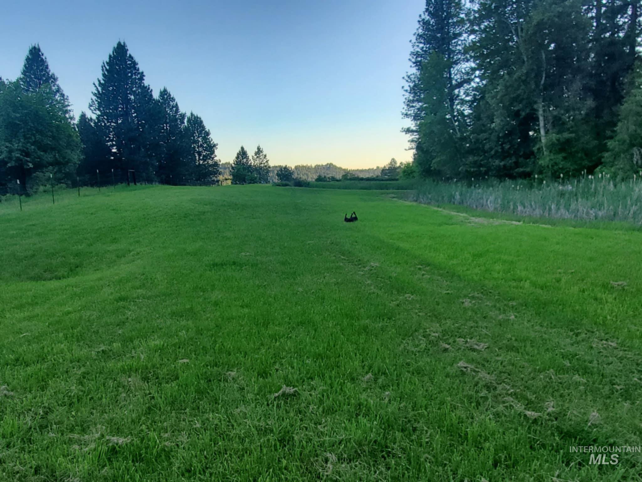 View of green lawn with a view of rural / pastoral area