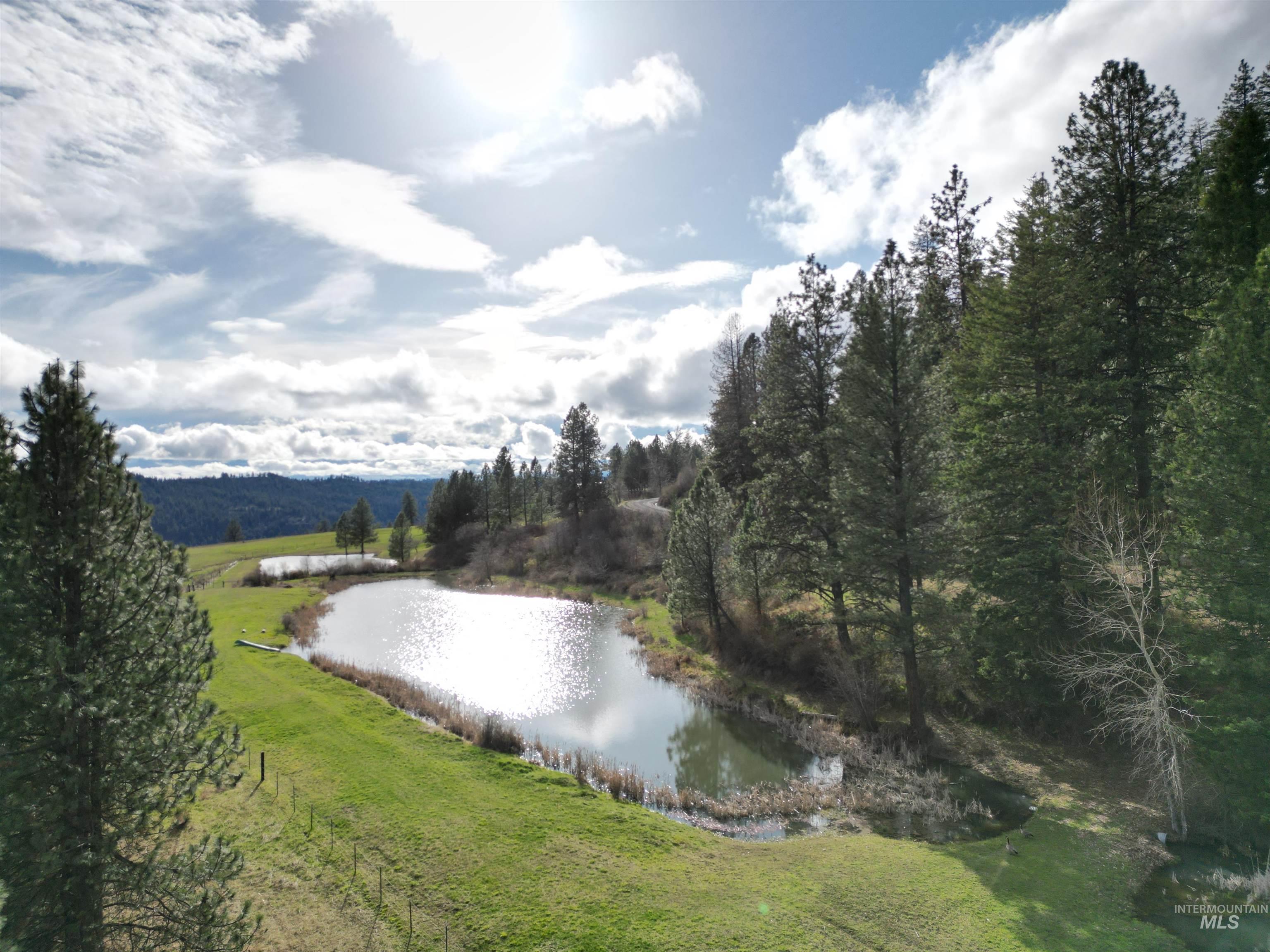 Water view featuring a forest