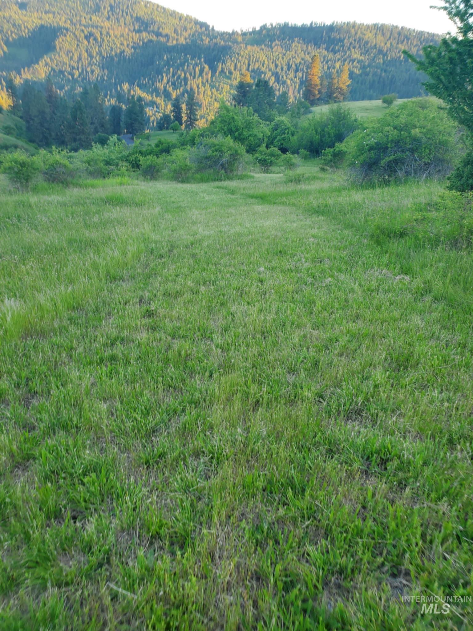 View of mountain background featuring a forest and rural landscape