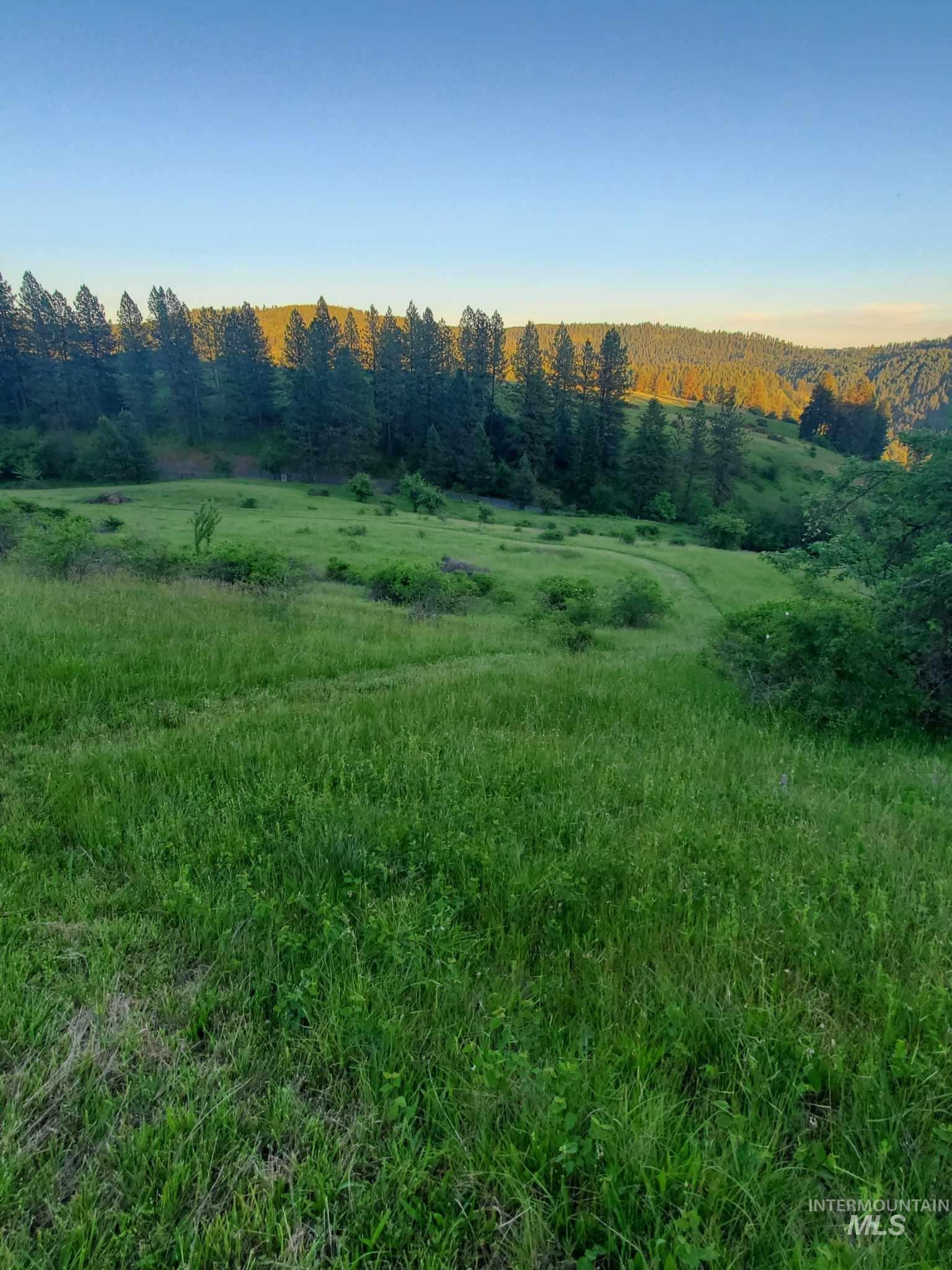View of wooded area featuring a view of countryside