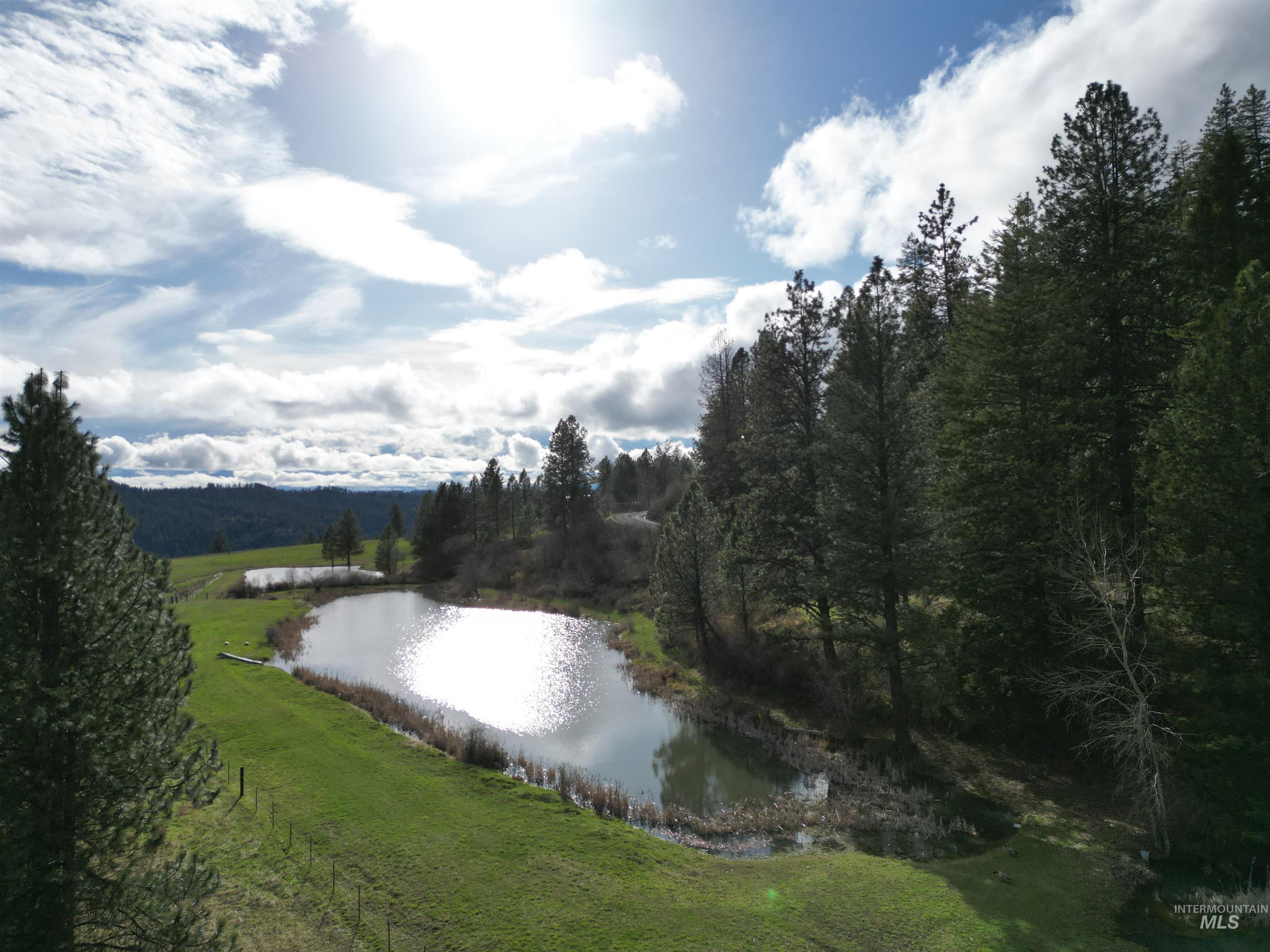 Water view featuring a forest