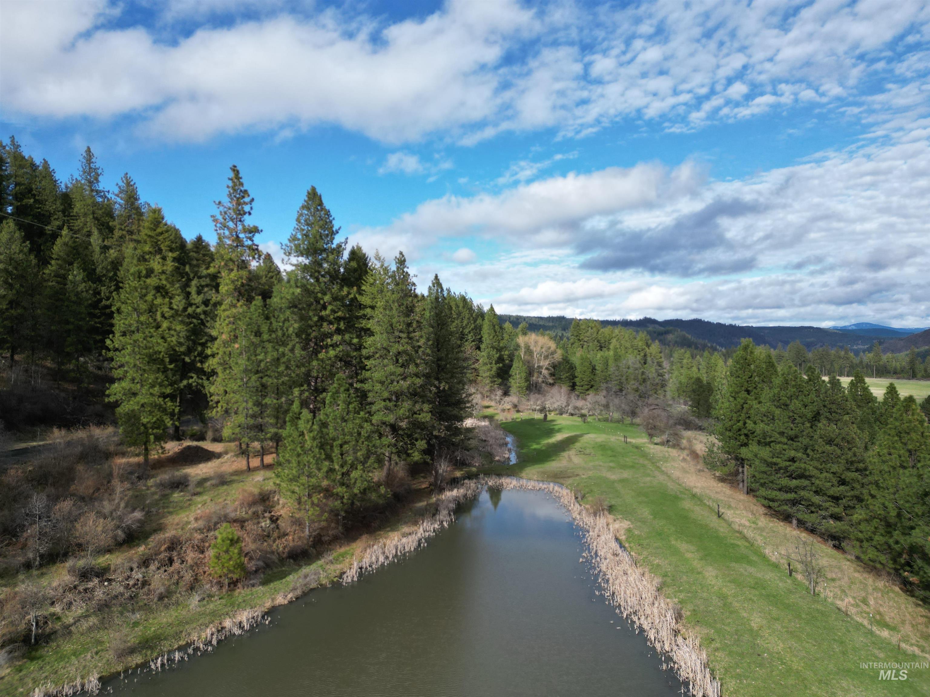 Drone / aerial view of a forest and a large body of water