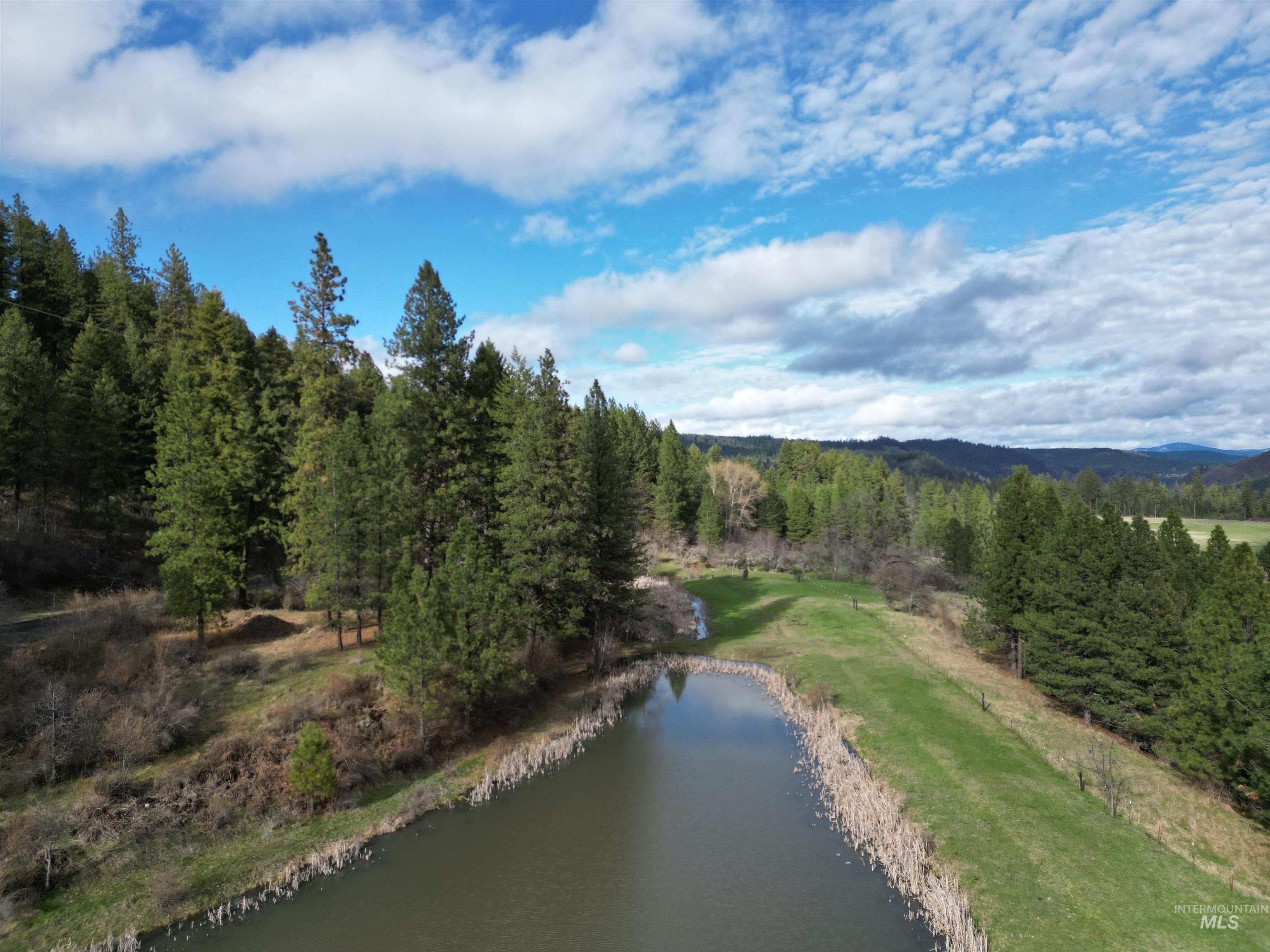 Aerial view of a heavily wooded area and a nearby body of water