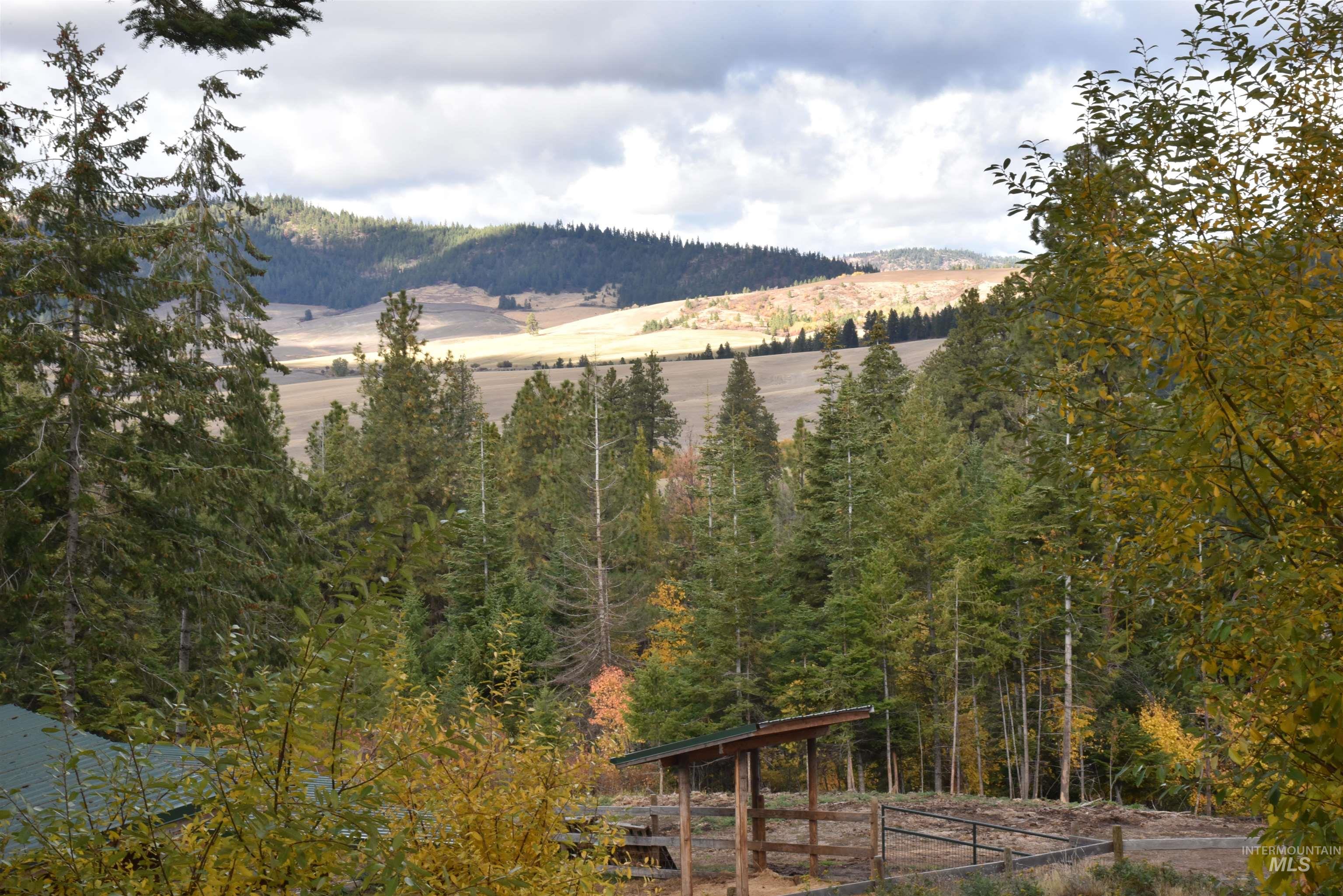 View of mountain backdrop featuring a heavily wooded area