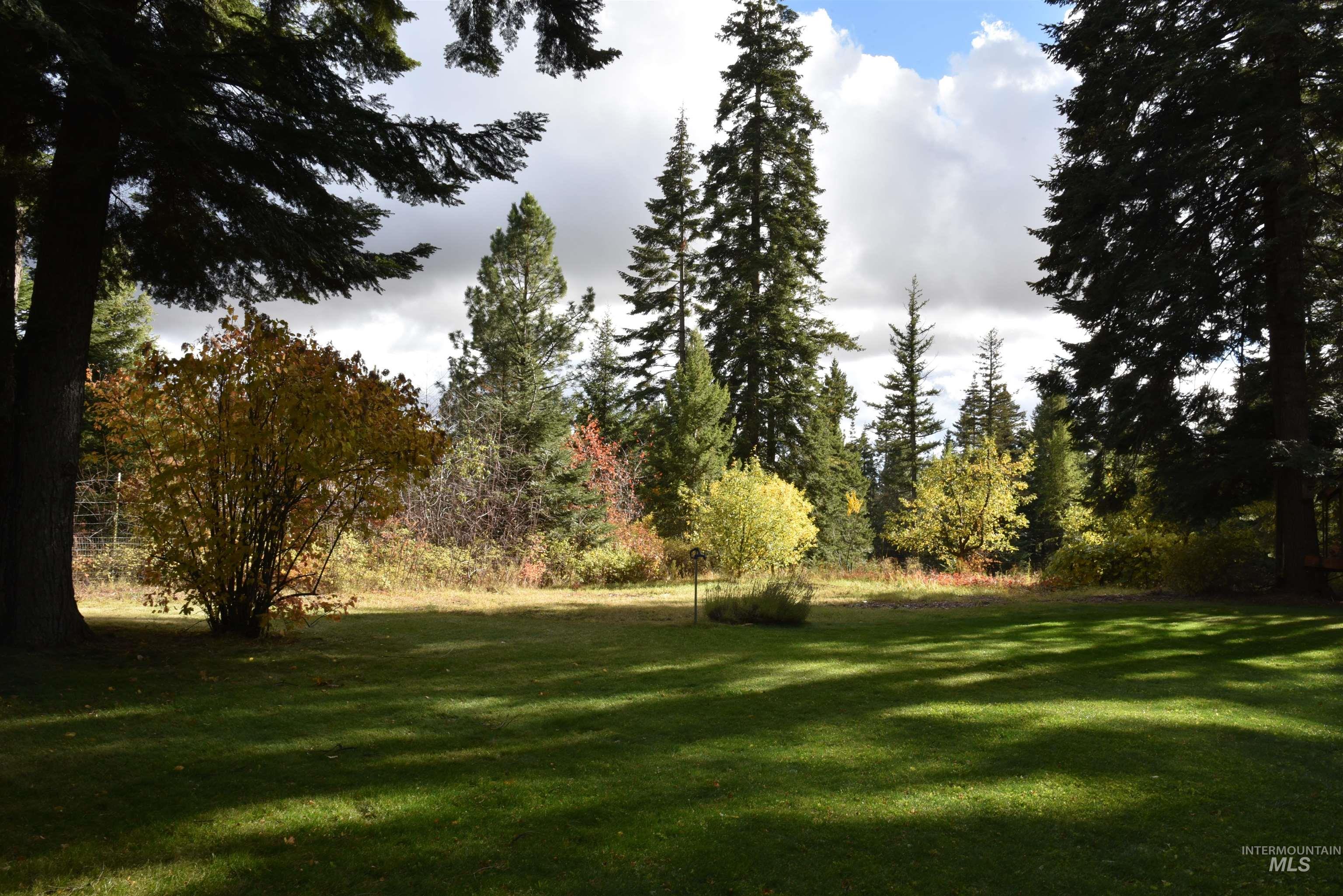 View of grassy yard featuring a forest view