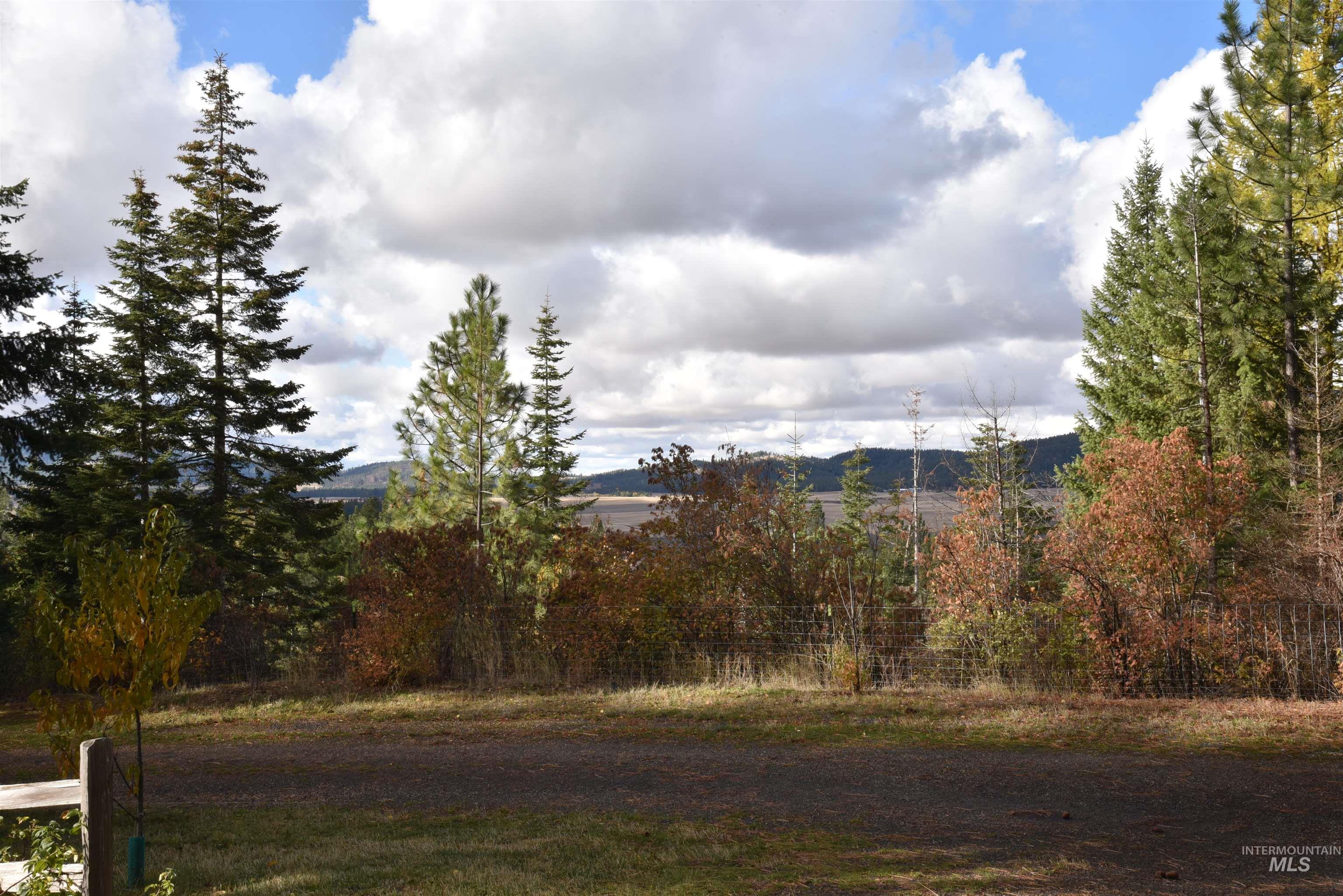 View of yard featuring a mountain view