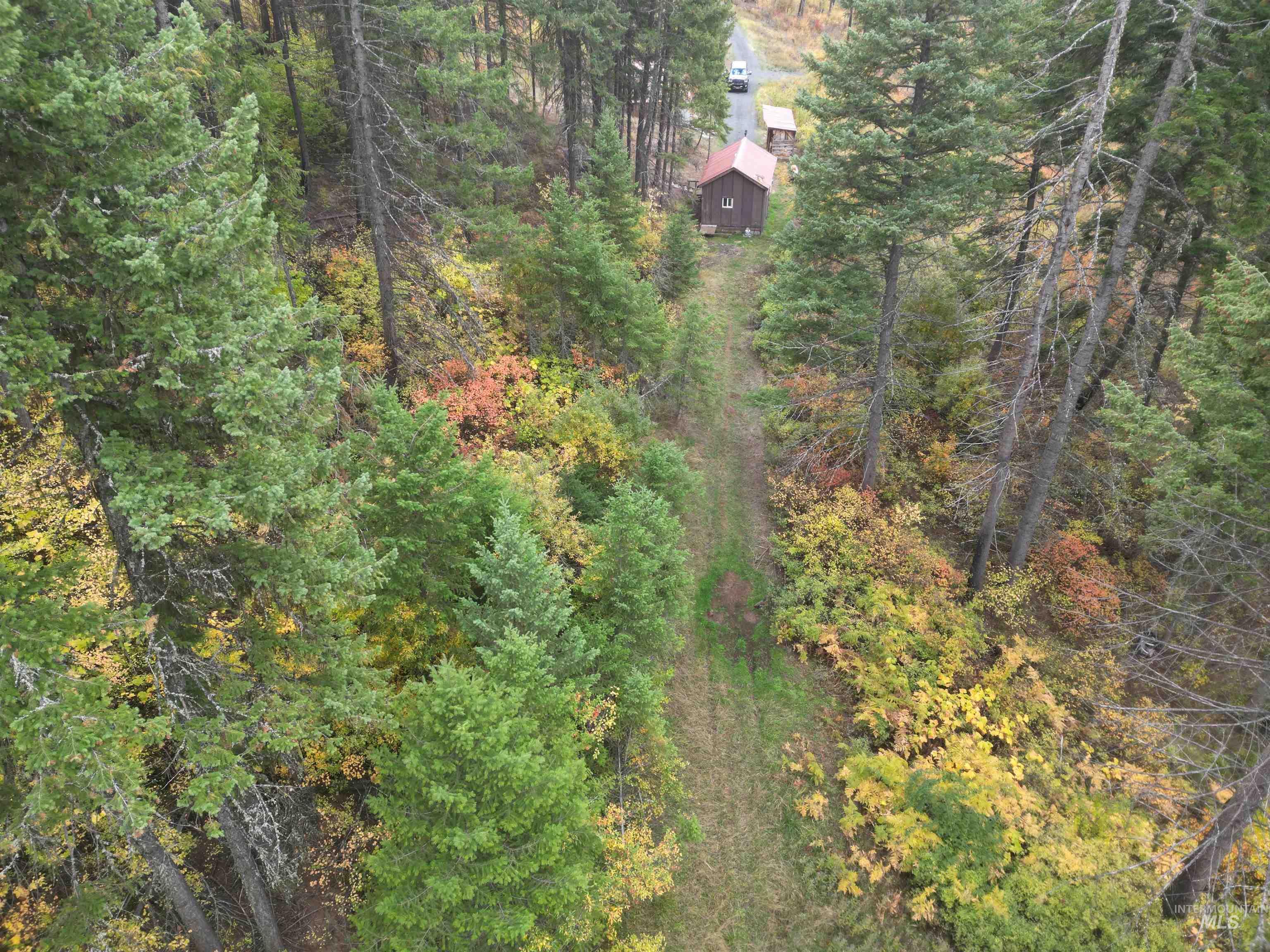 Aerial overview of property's location with a heavily wooded area