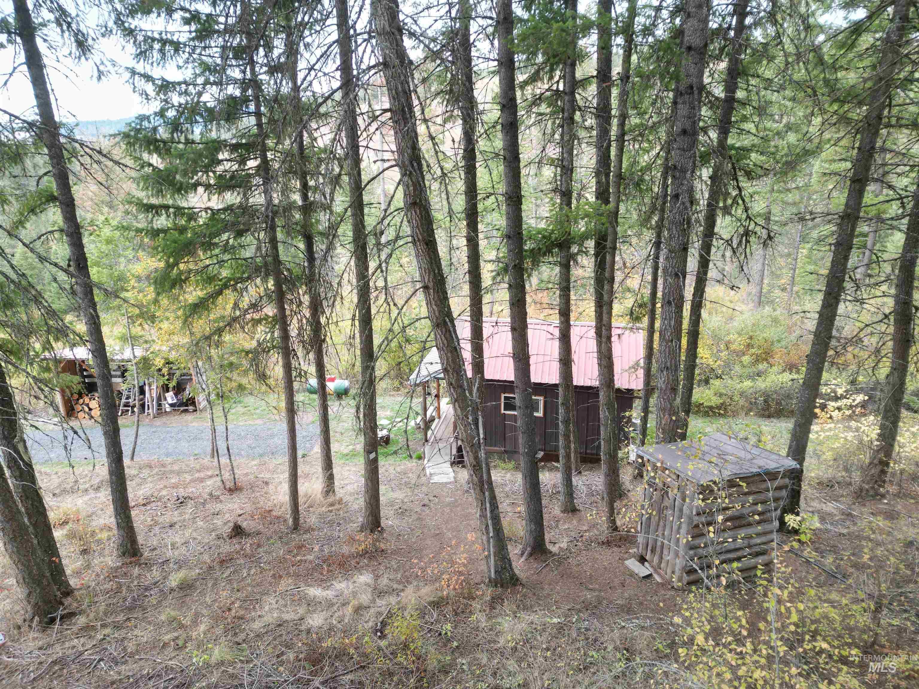 View of yard featuring an outbuilding