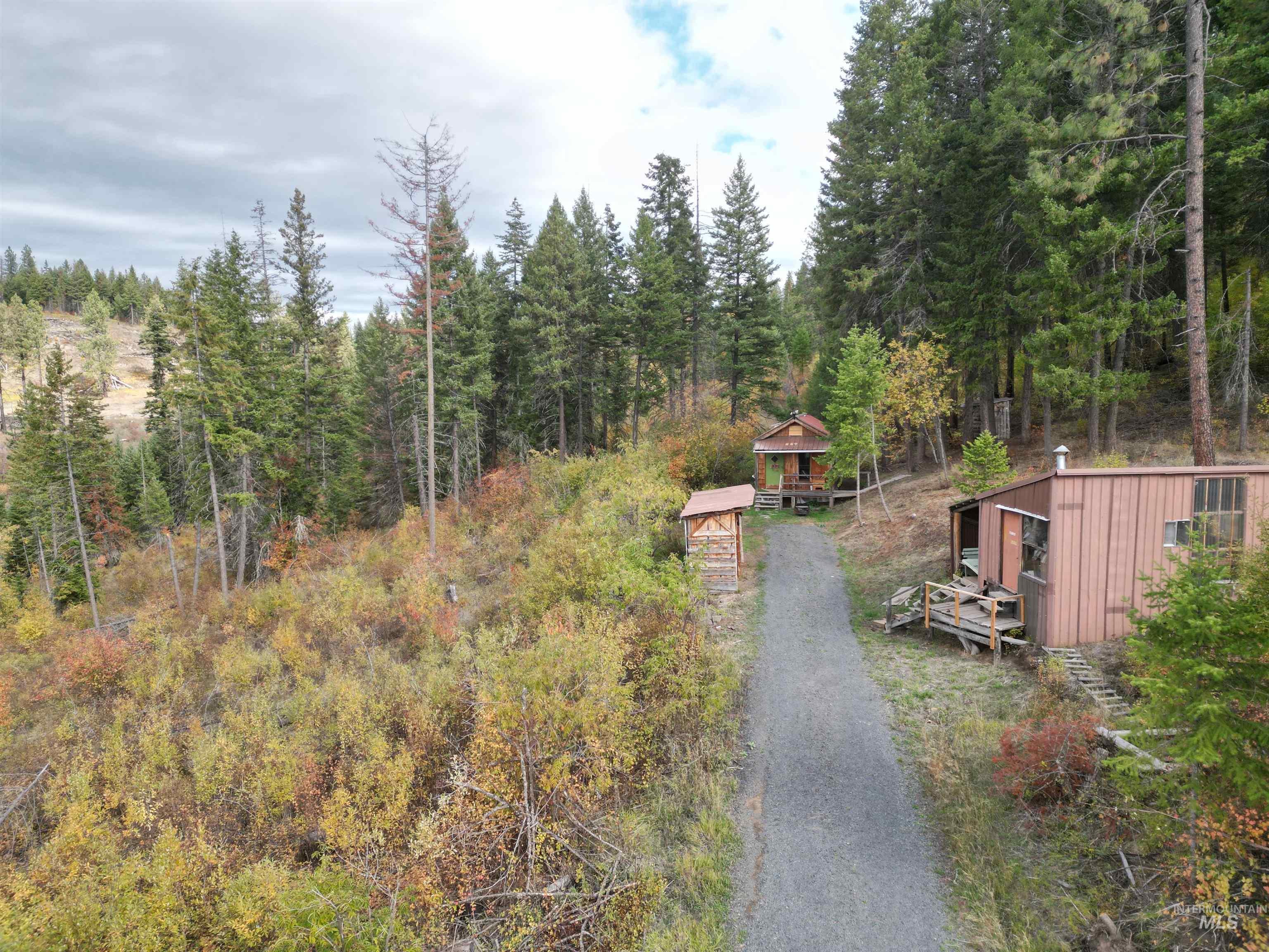 View of dirt / gravel road featuring a view of trees