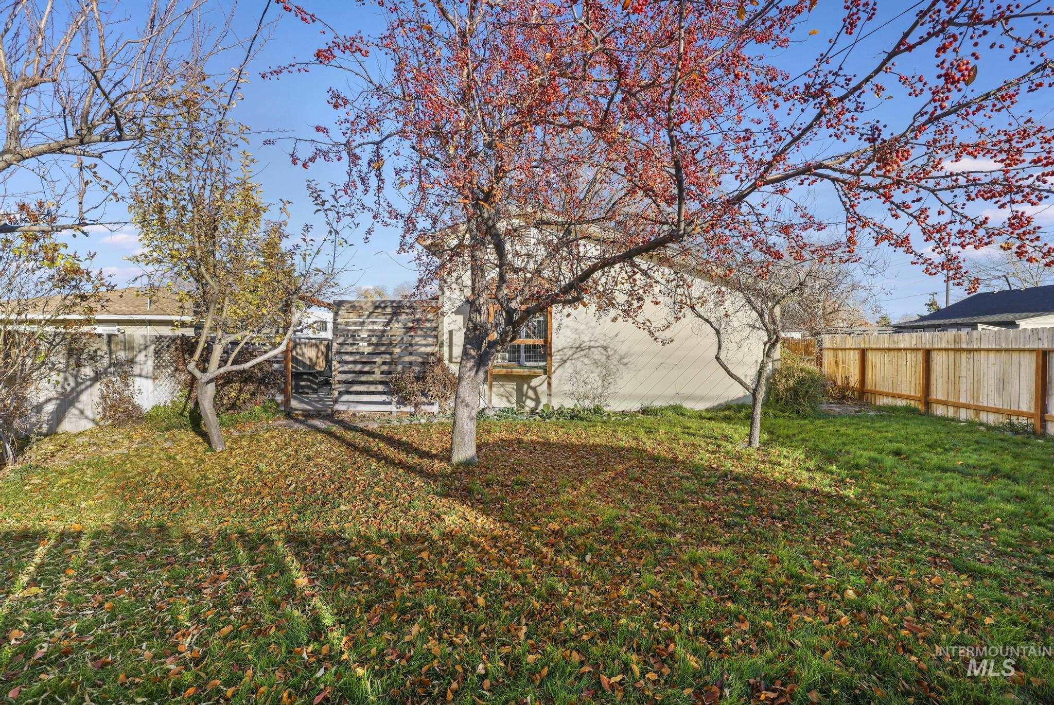 View of fenced backyard