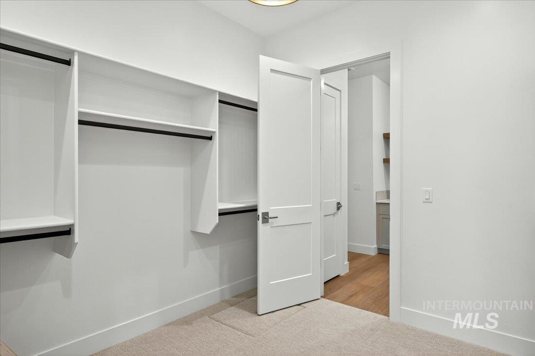 Spacious closet featuring light carpet