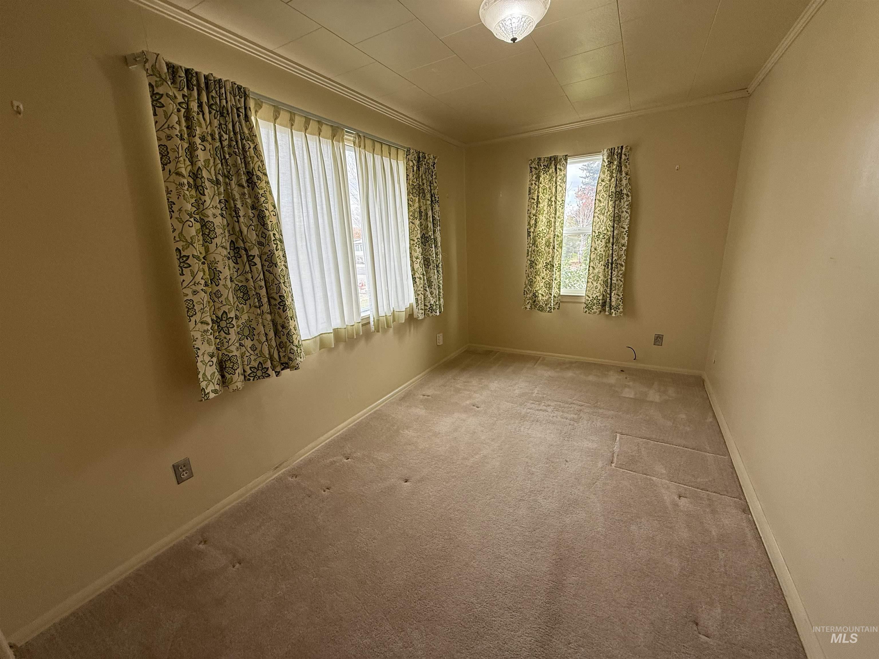 Carpeted empty room featuring ornamental molding