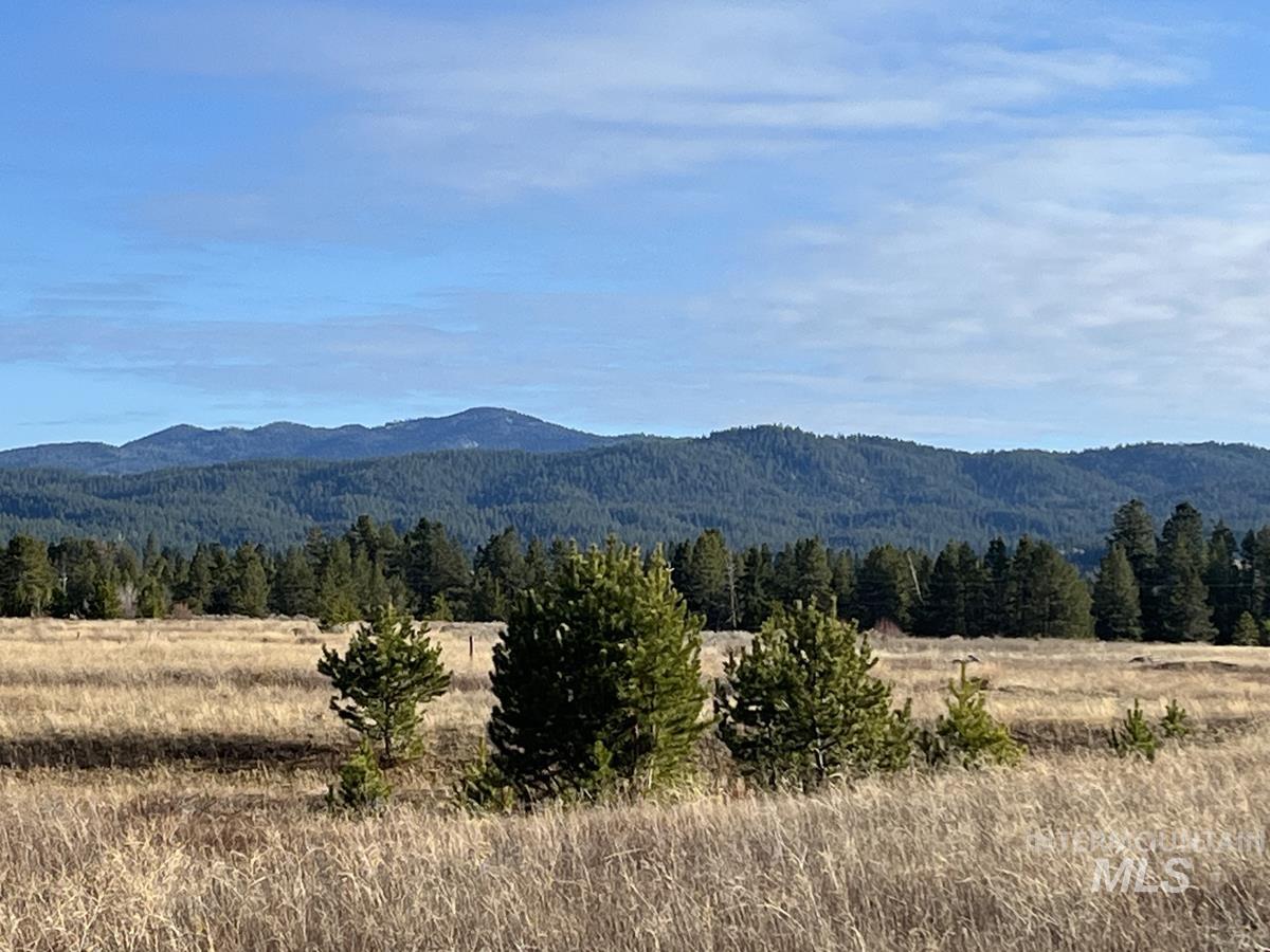 16 & 18 Loomis Lane, Donnelly, Idaho 83615, Land For Sale, Price $868,000, 98967786