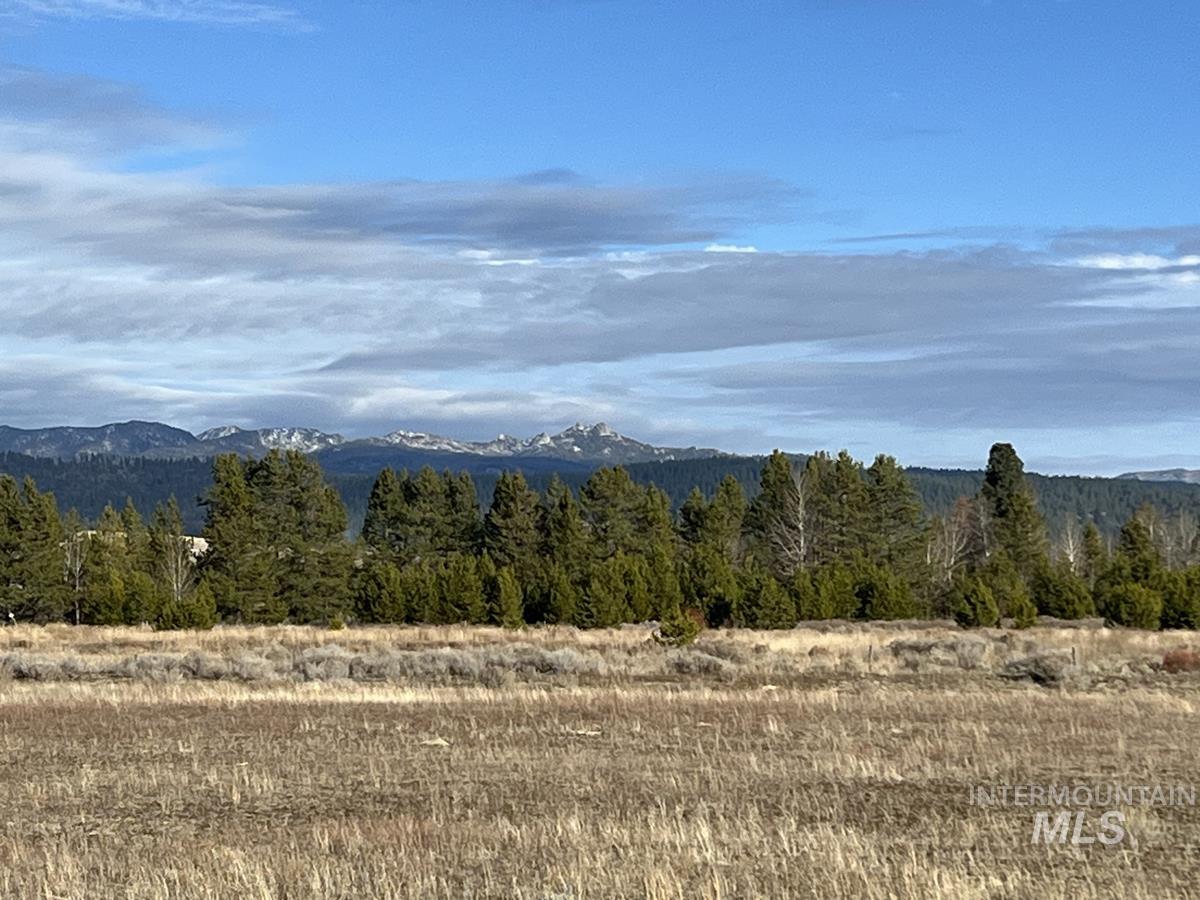 16 & 18 Loomis Lane, Donnelly, Idaho 83615, Land For Sale, Price $868,000, 98967786