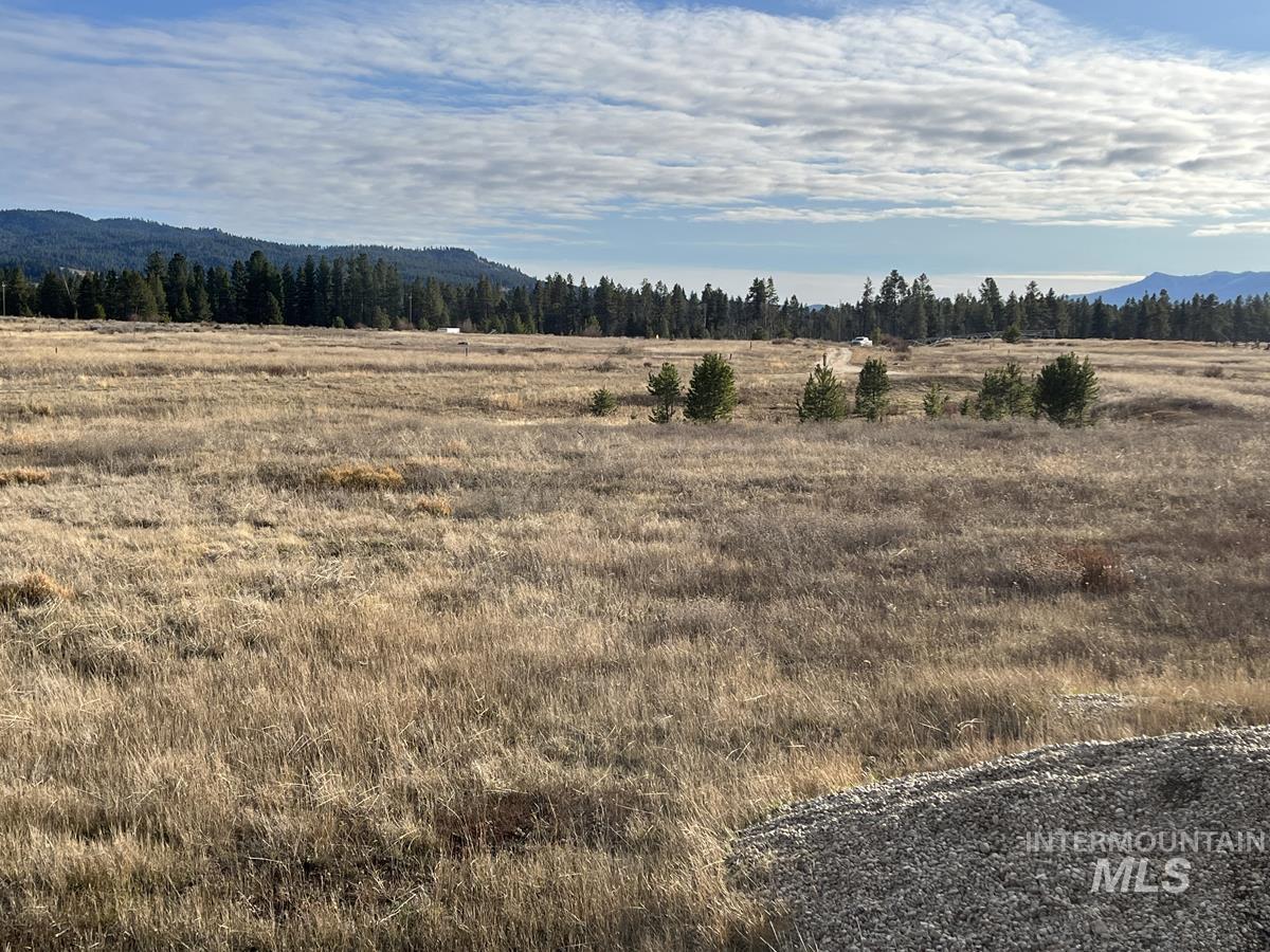 16 & 18 Loomis Lane, Donnelly, Idaho 83615, Land For Sale, Price $868,000, 98967786