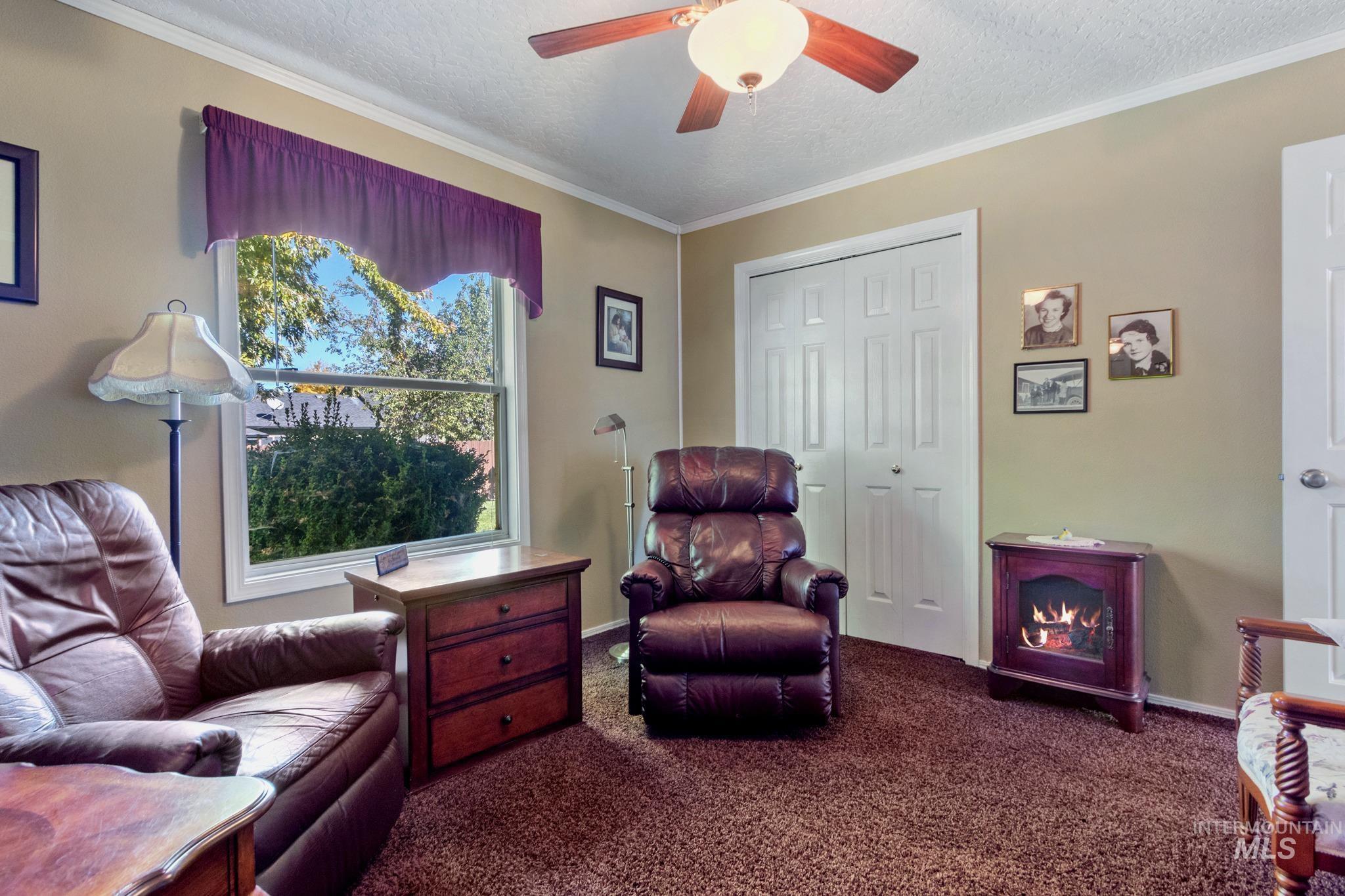 Living area with a textured ceiling, carpet, ornamental molding, and ceiling fan