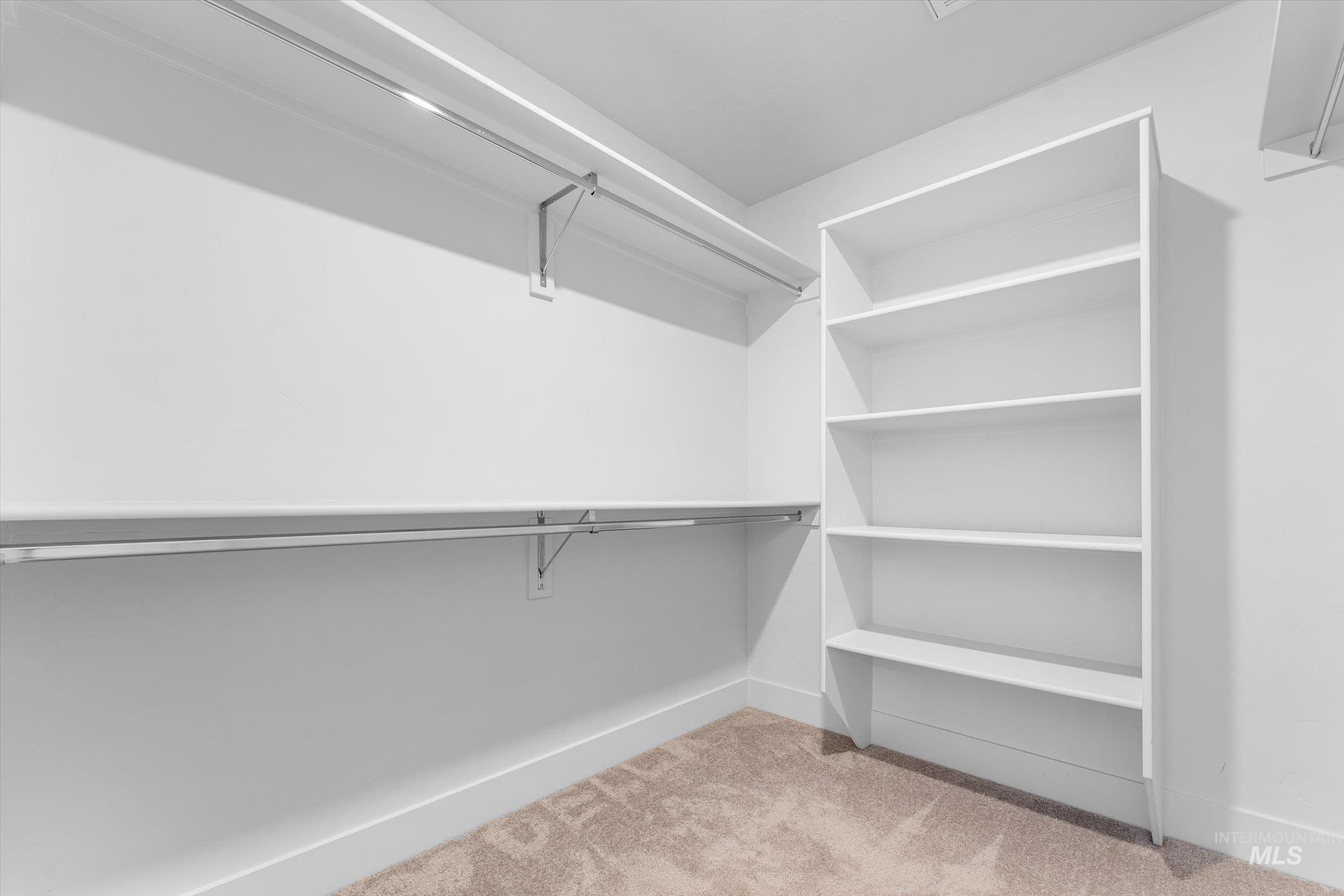 Walk in closet with light carpet