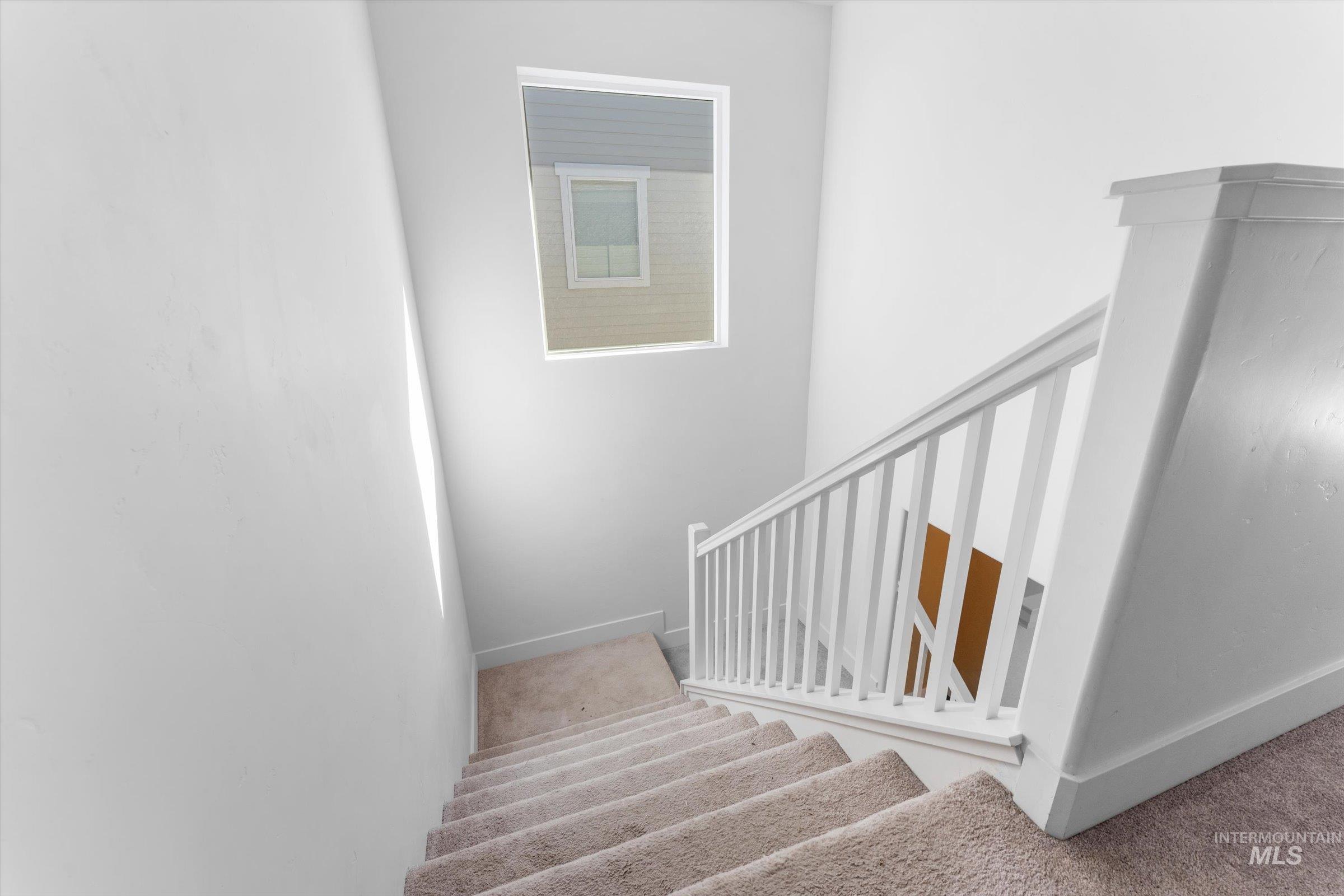 Stairway with carpet