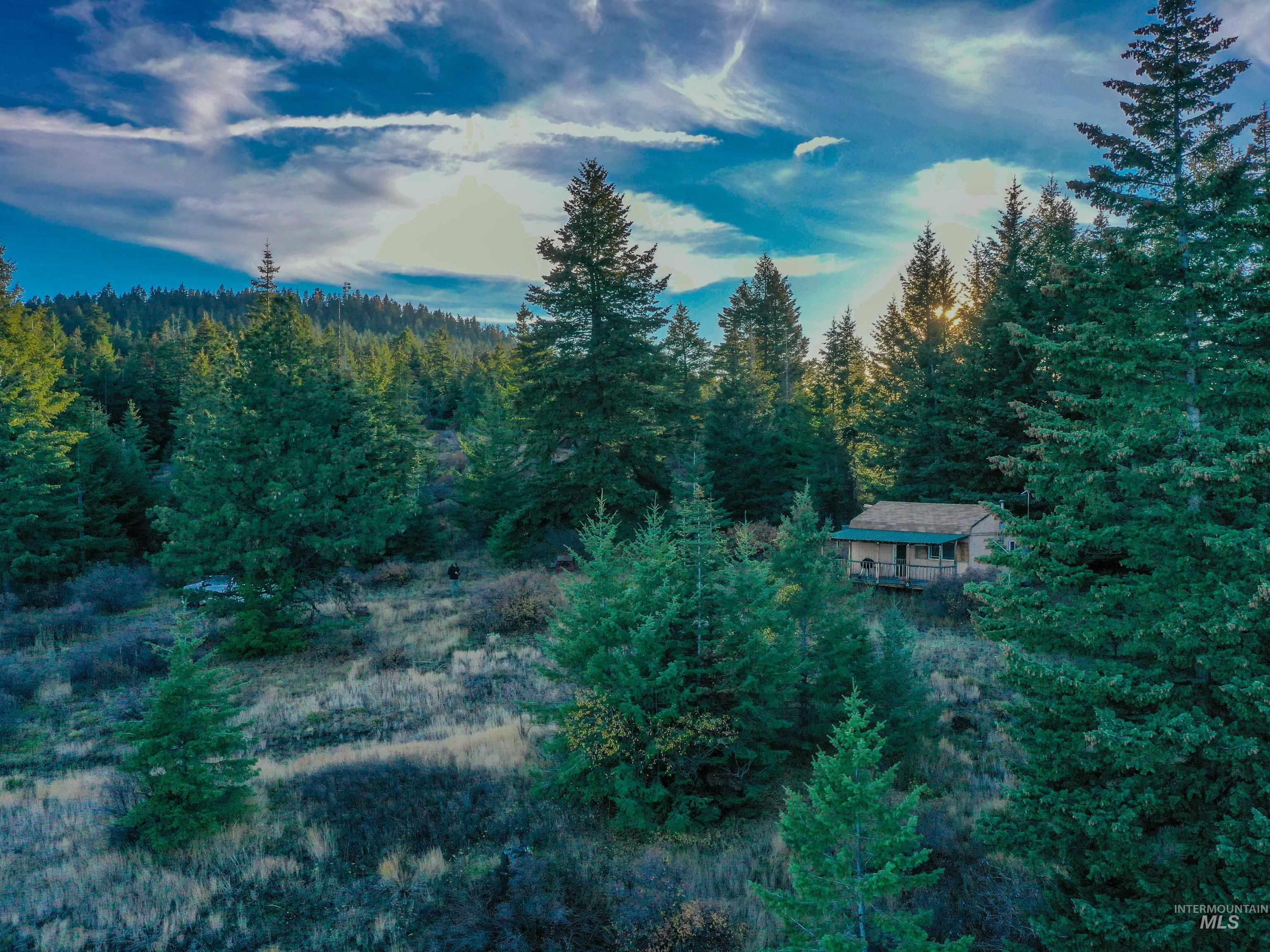 624 Radar Rd, CottonWood, Idaho 83522, Land For Sale, Price $279,000, 98967797