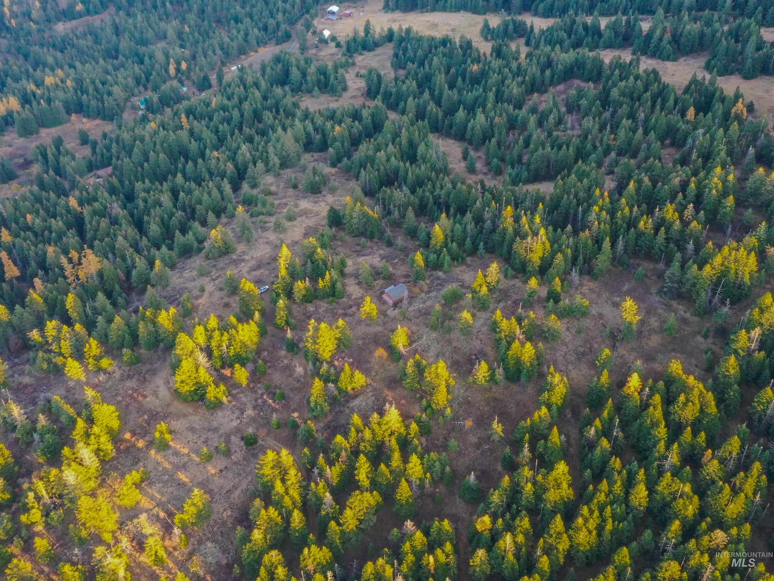 624 Radar Rd, CottonWood, Idaho 83522, Land For Sale, Price $279,000, 98967797