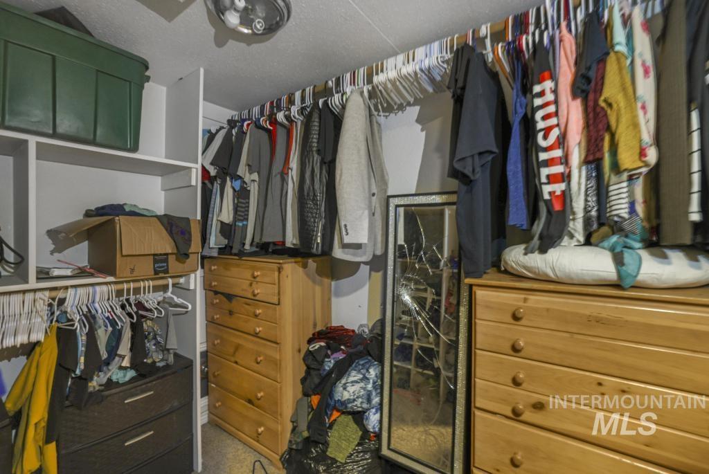Walk in closet with carpet flooring