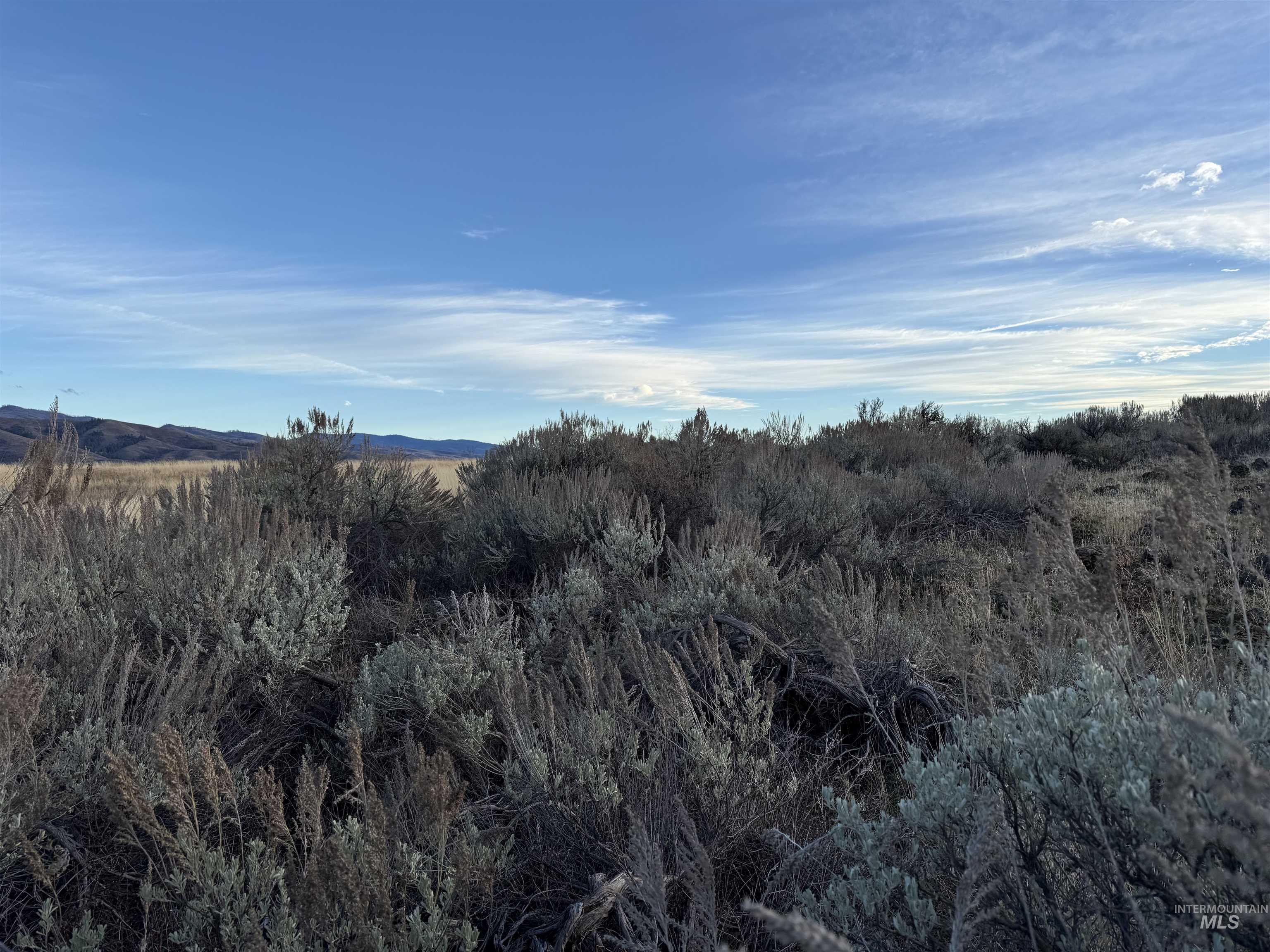View of mountain background featuring a forest