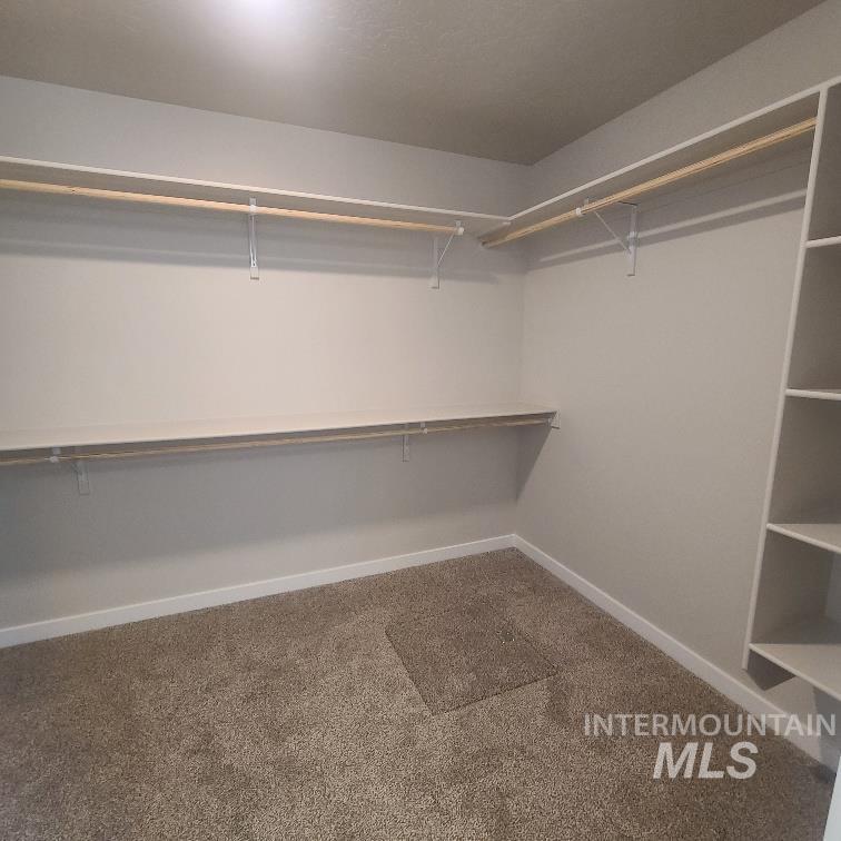 Walk in closet featuring dark carpet