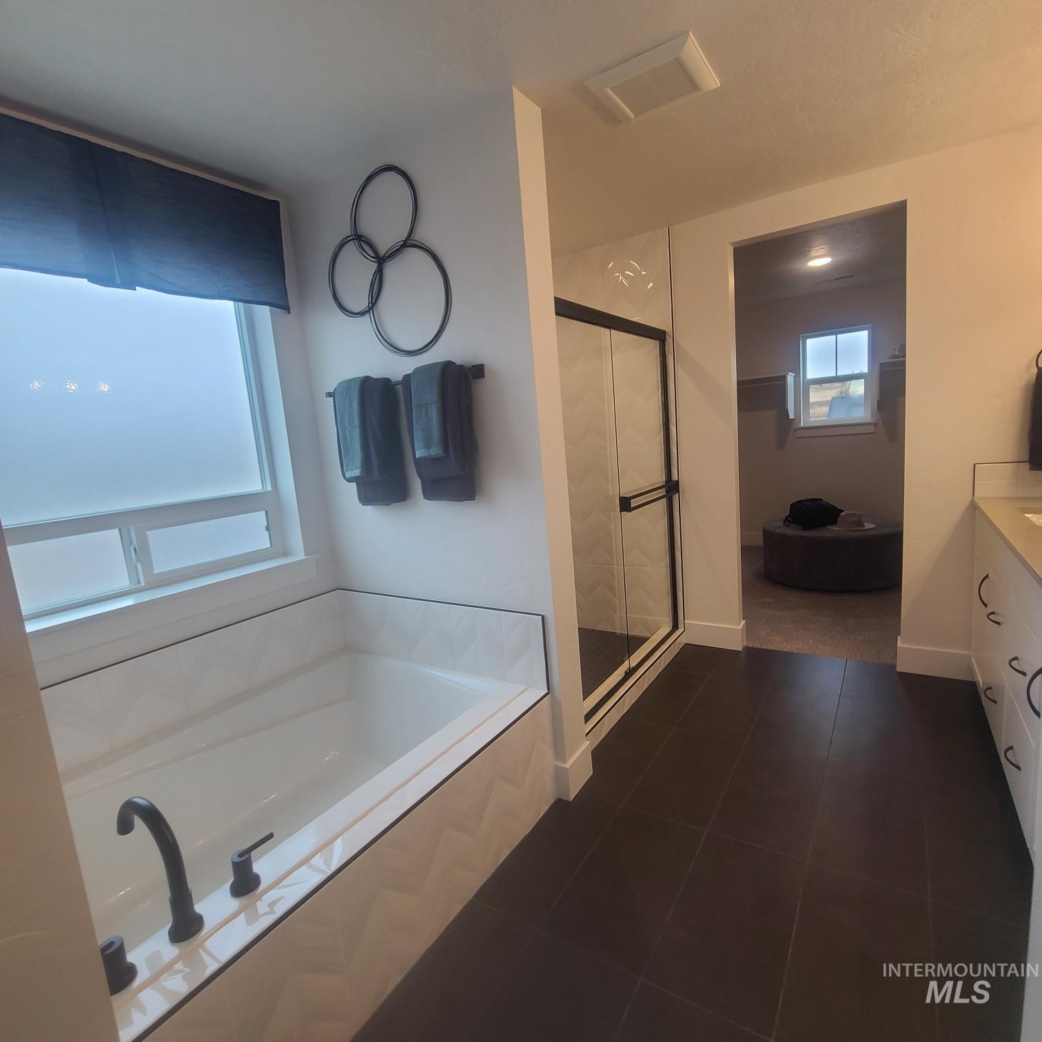 Bathroom featuring vanity, a stall shower, a garden tub, and dark tile patterned floors