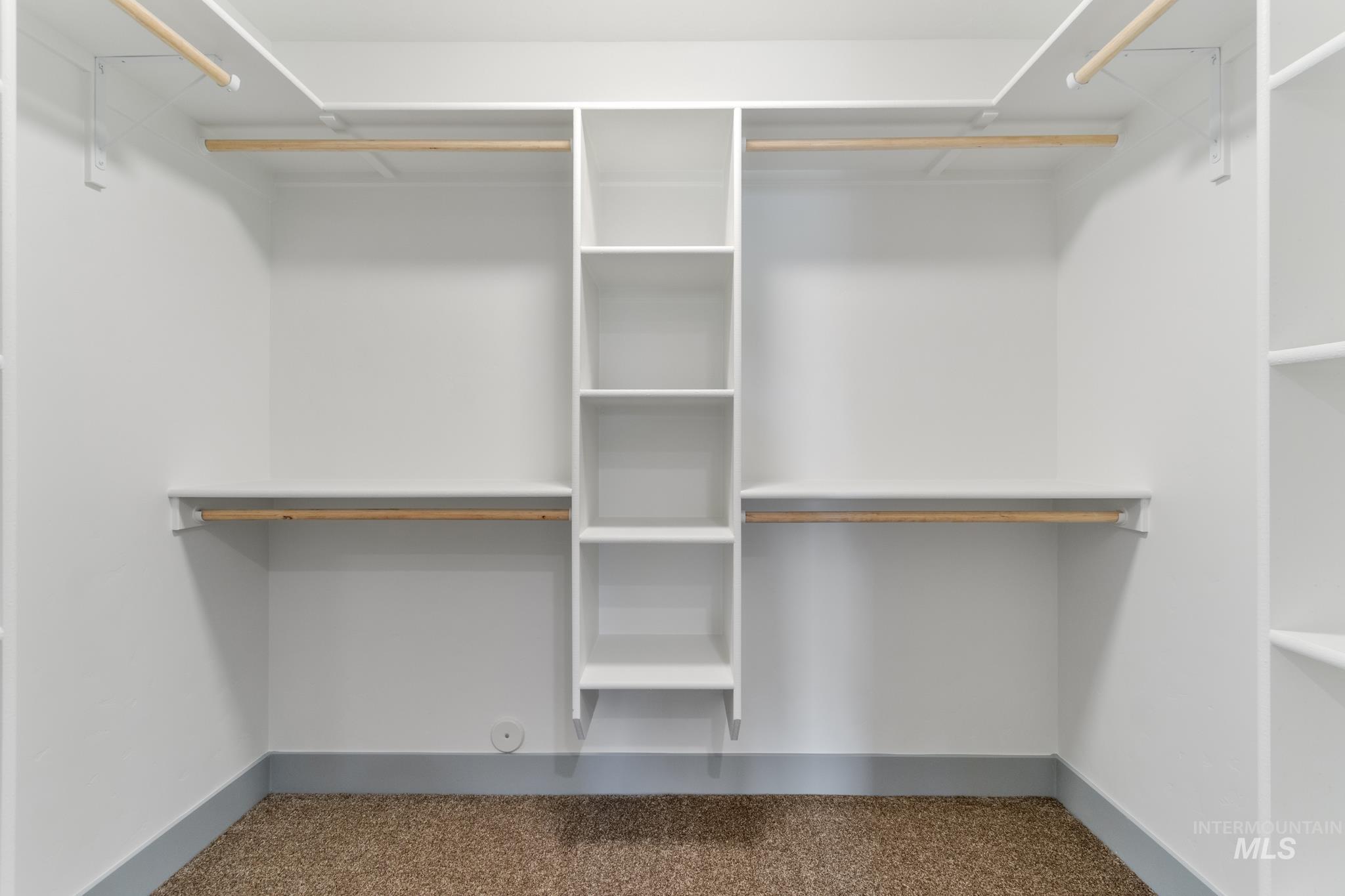Walk in closet featuring carpet floors