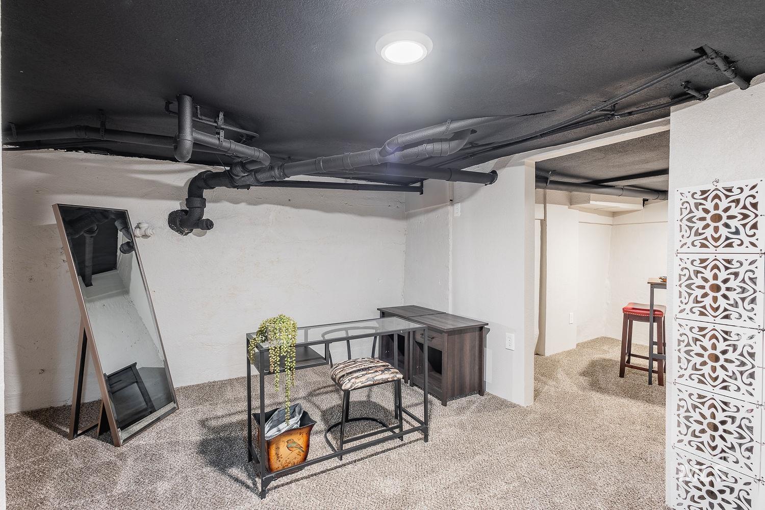 Finished basement featuring carpet