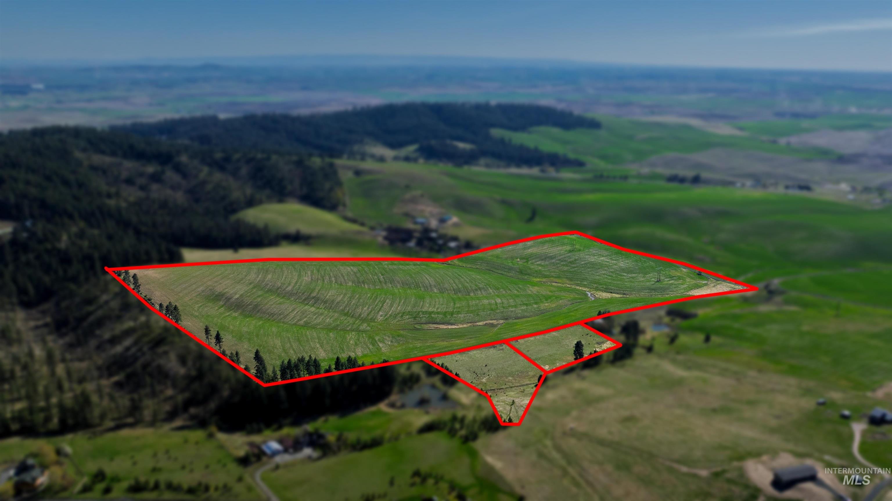 TBD Rothfork Rd., Viola, Idaho 83872, Land For Sale, Price $495,000, 98967888