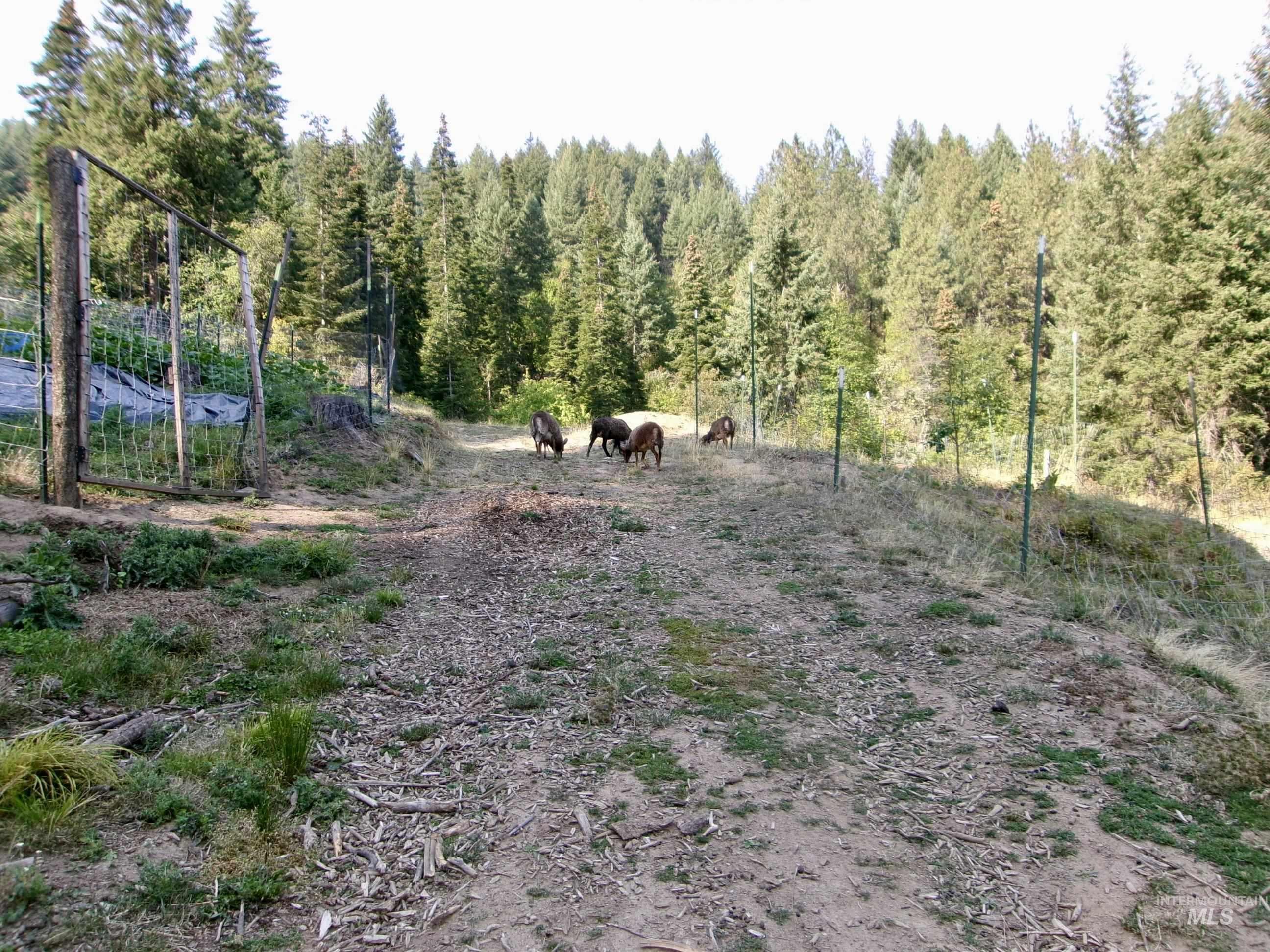 View of tree filled area featuring a view of rural / pastoral area