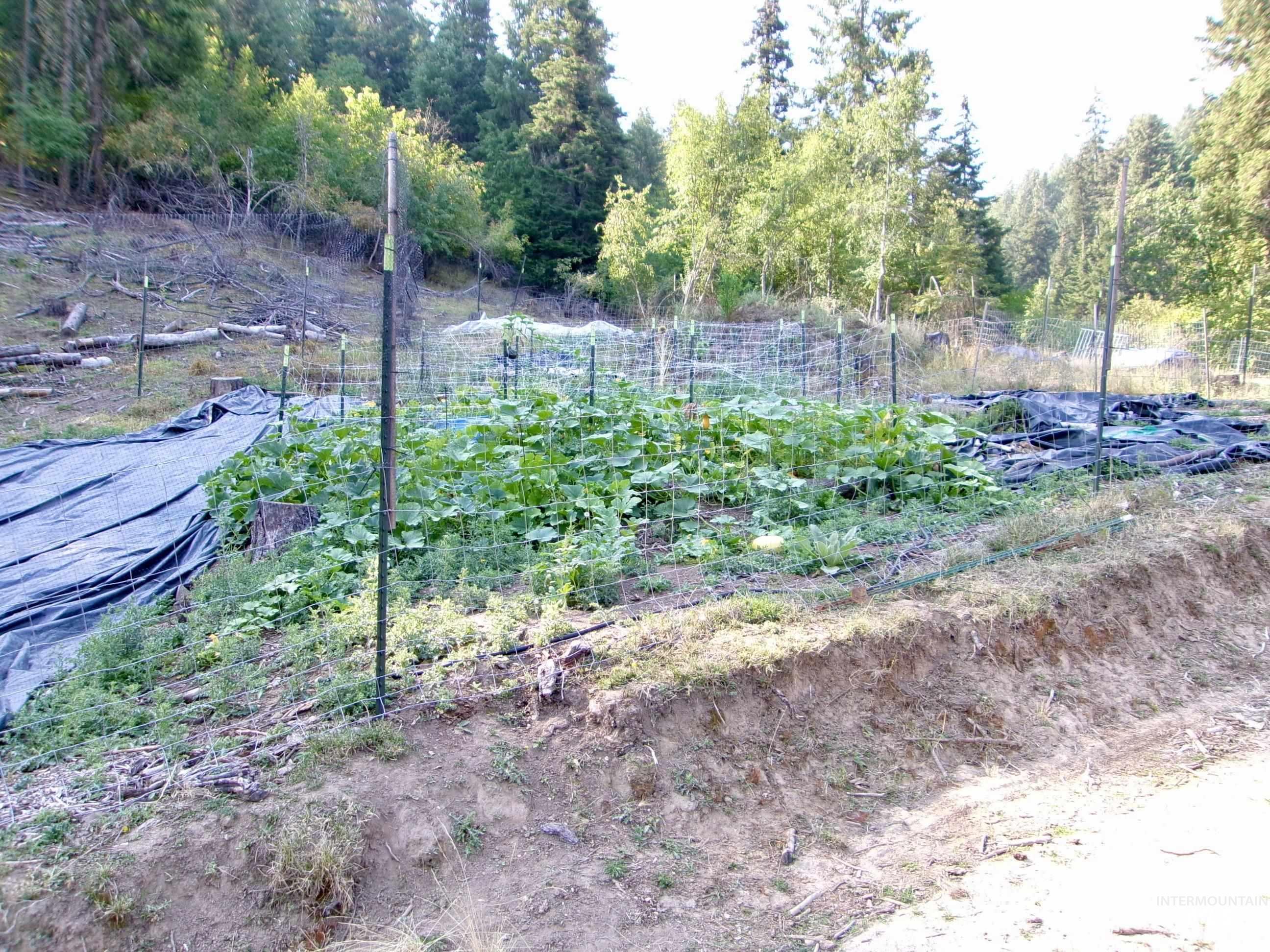 View of yard with a garden