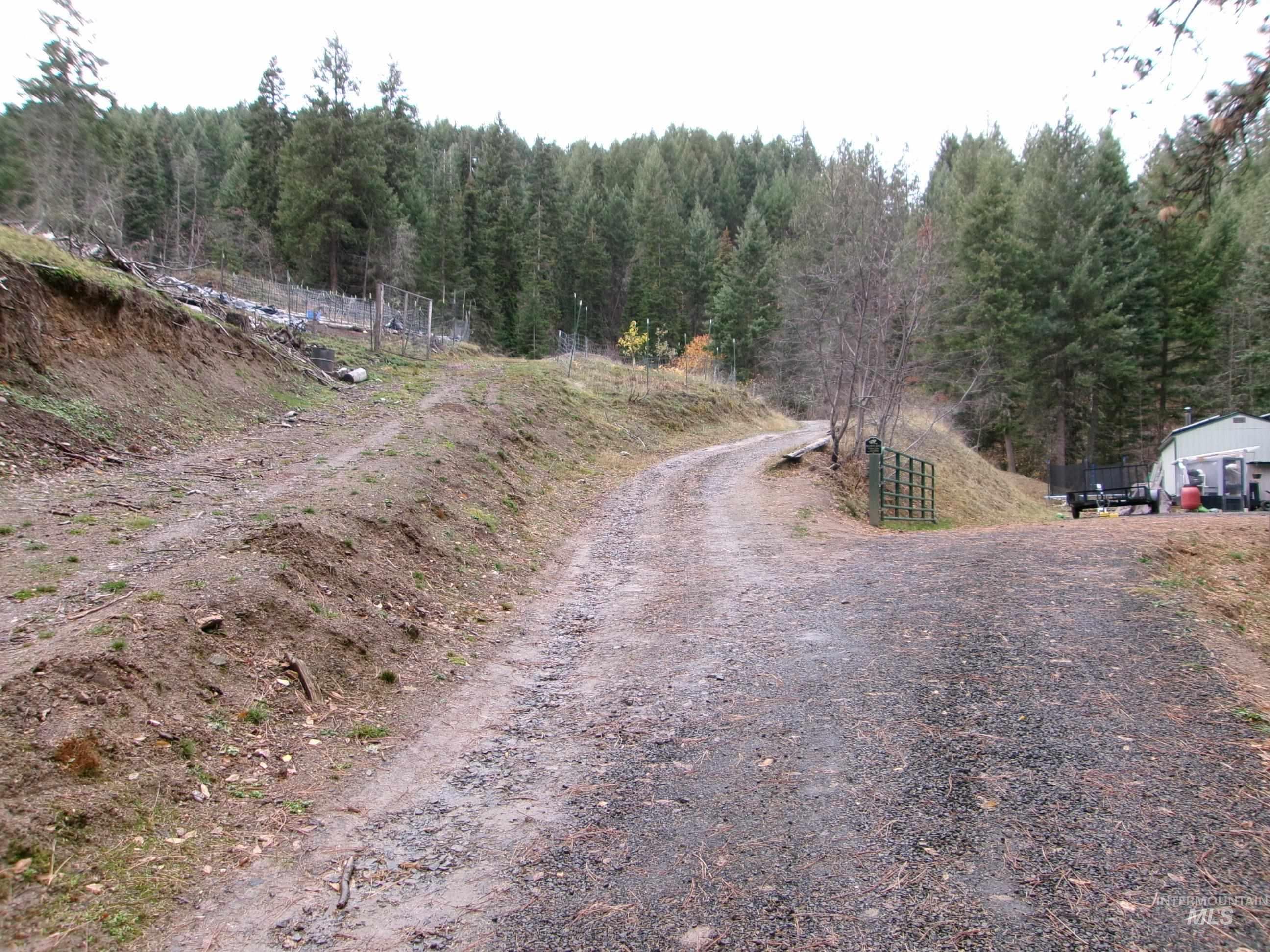View of dirt / gravel road featuring a forest view and a view of countryside