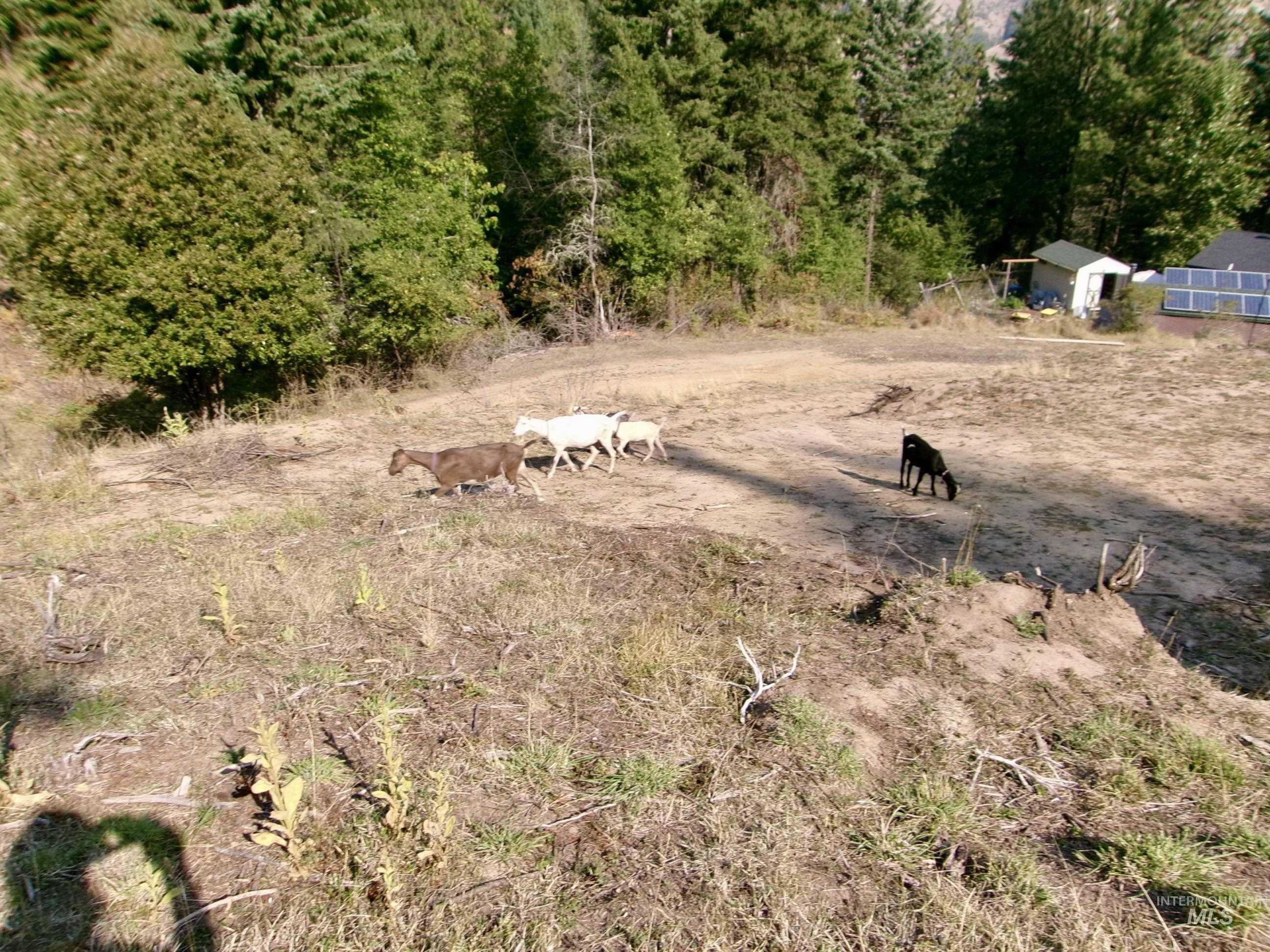 Aerial view of sparsely populated area featuring agricultural land