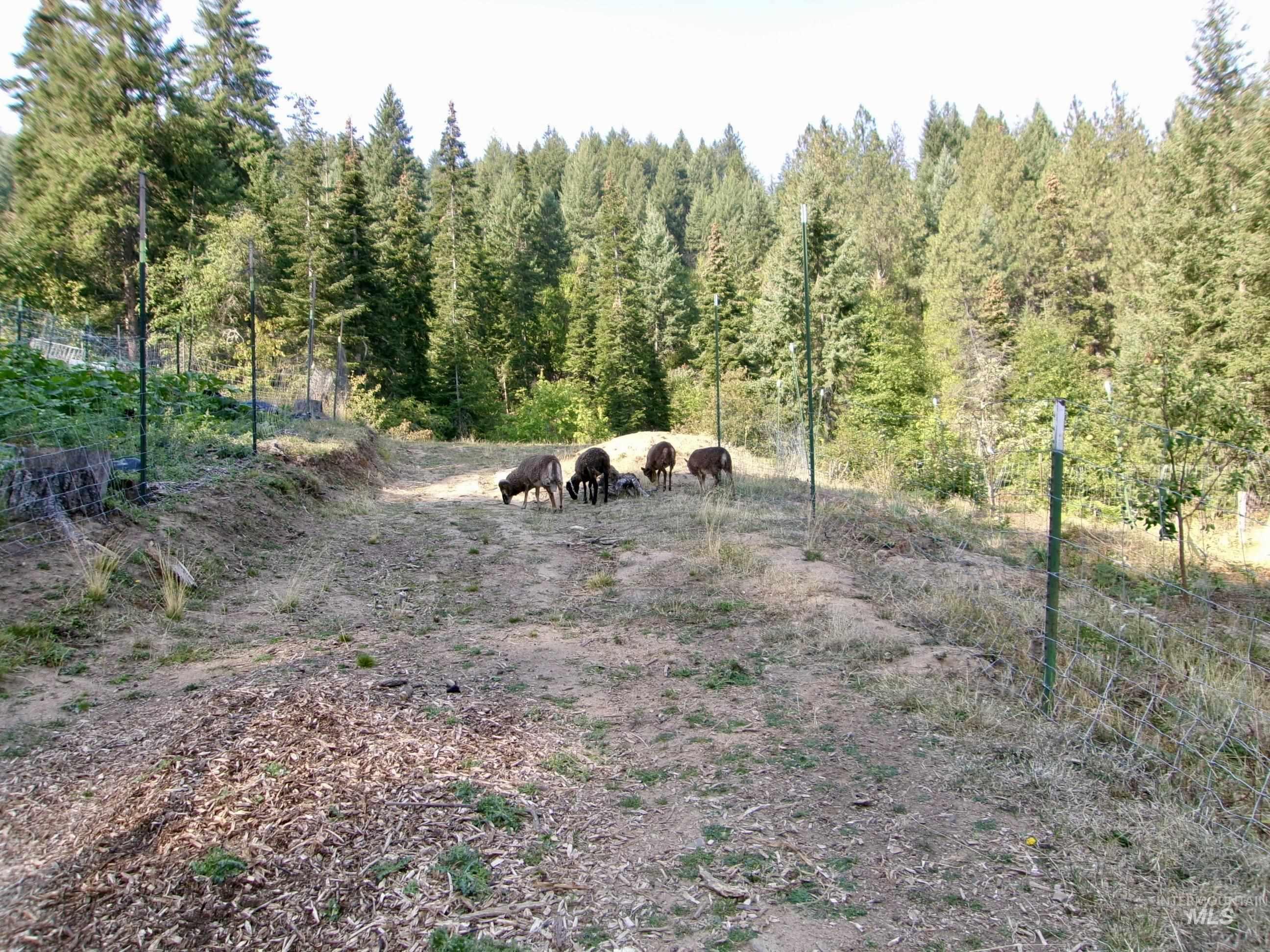 View of wooded area featuring a view of countryside