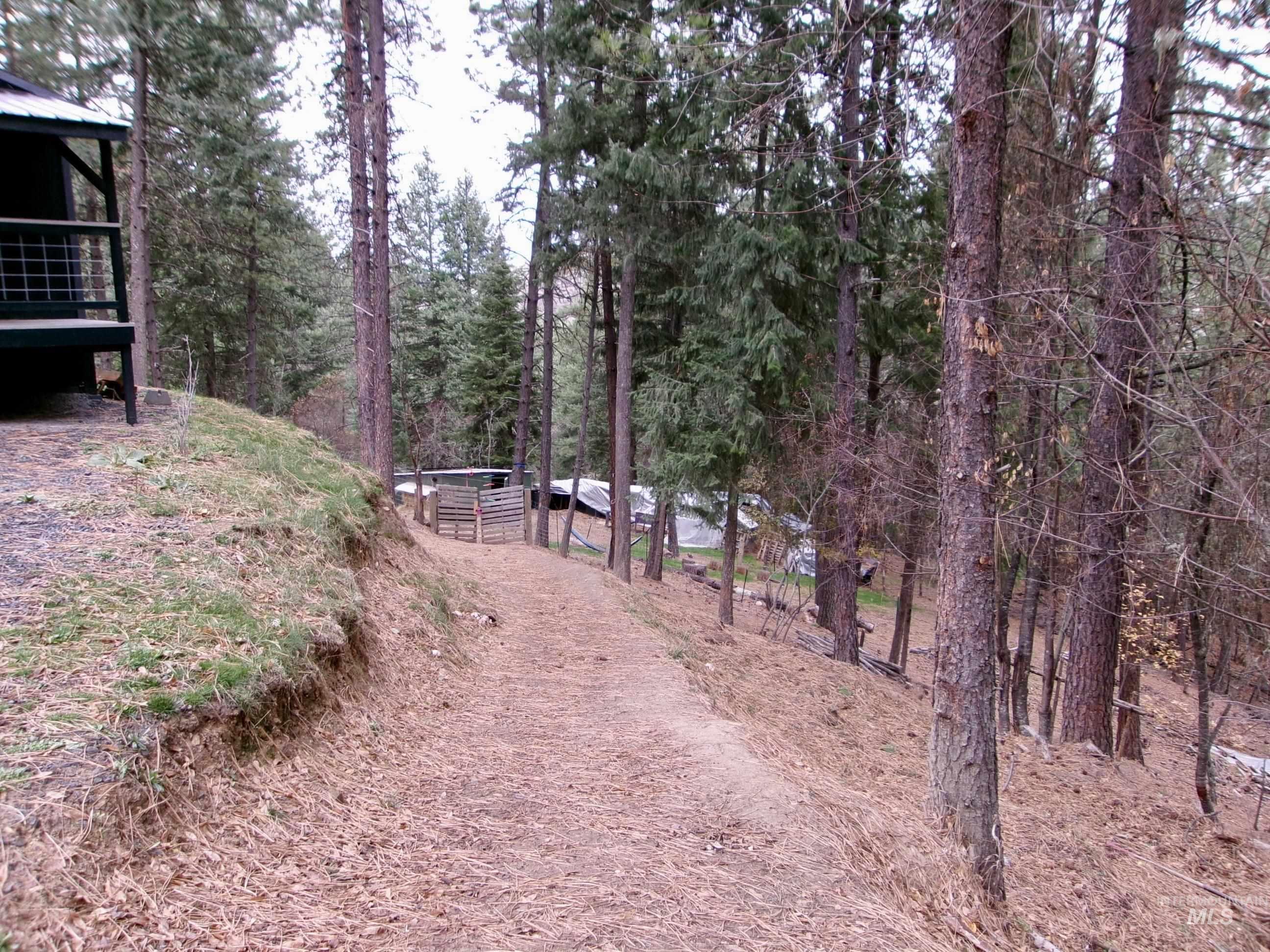 View of tree filled area