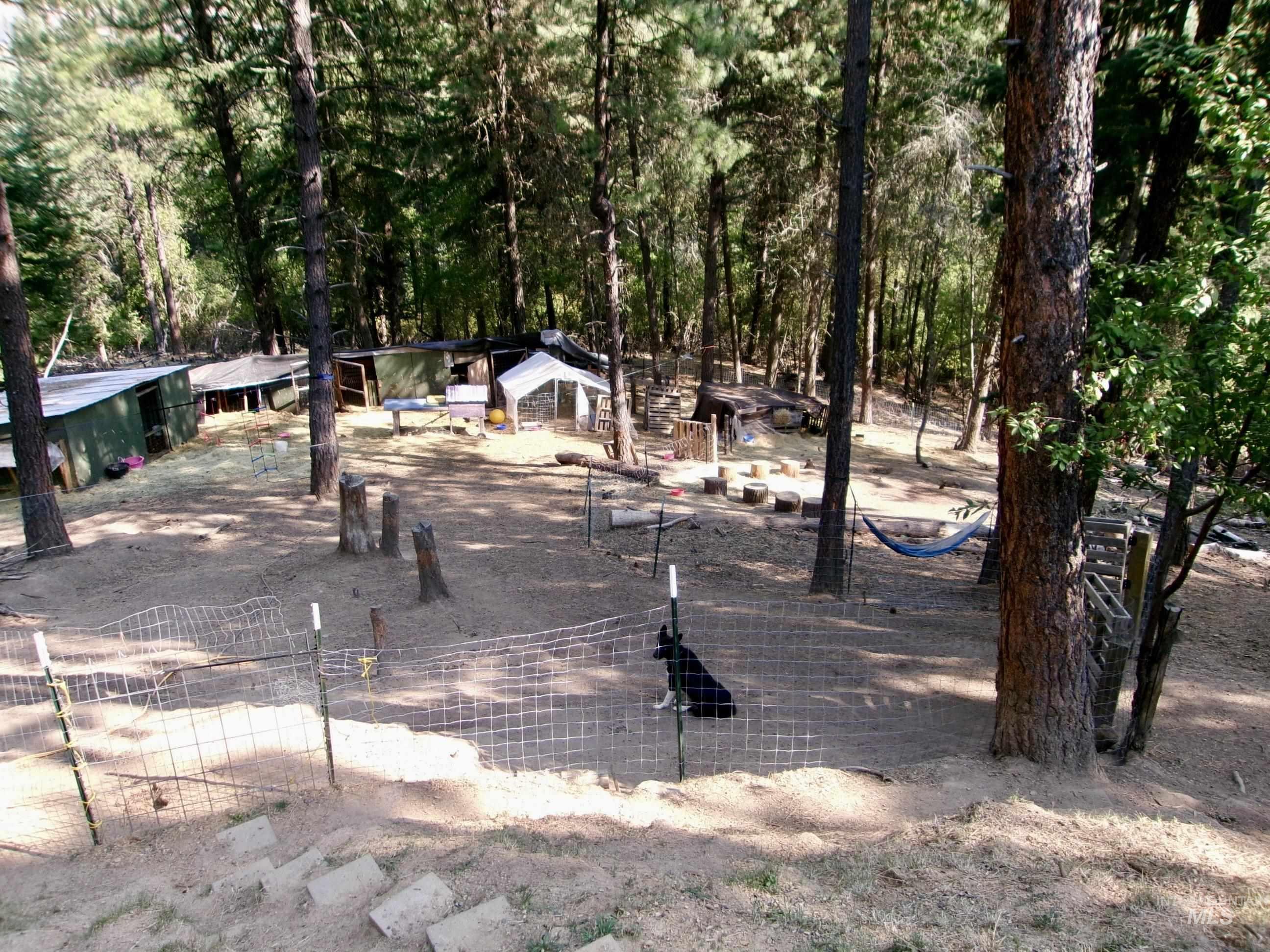 Surrounding community